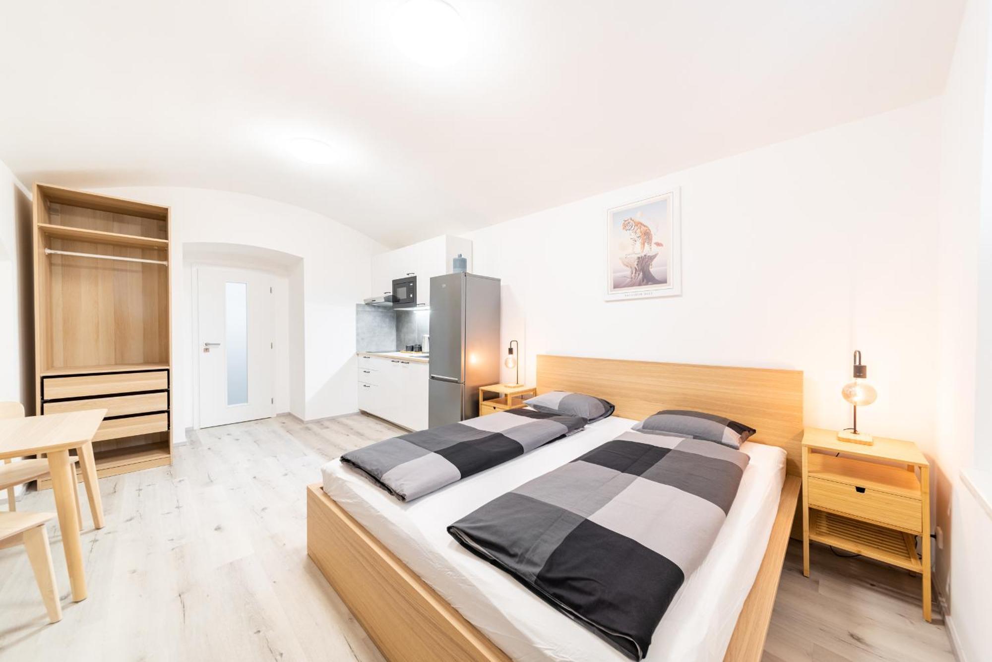 Apartment Borivojova 63