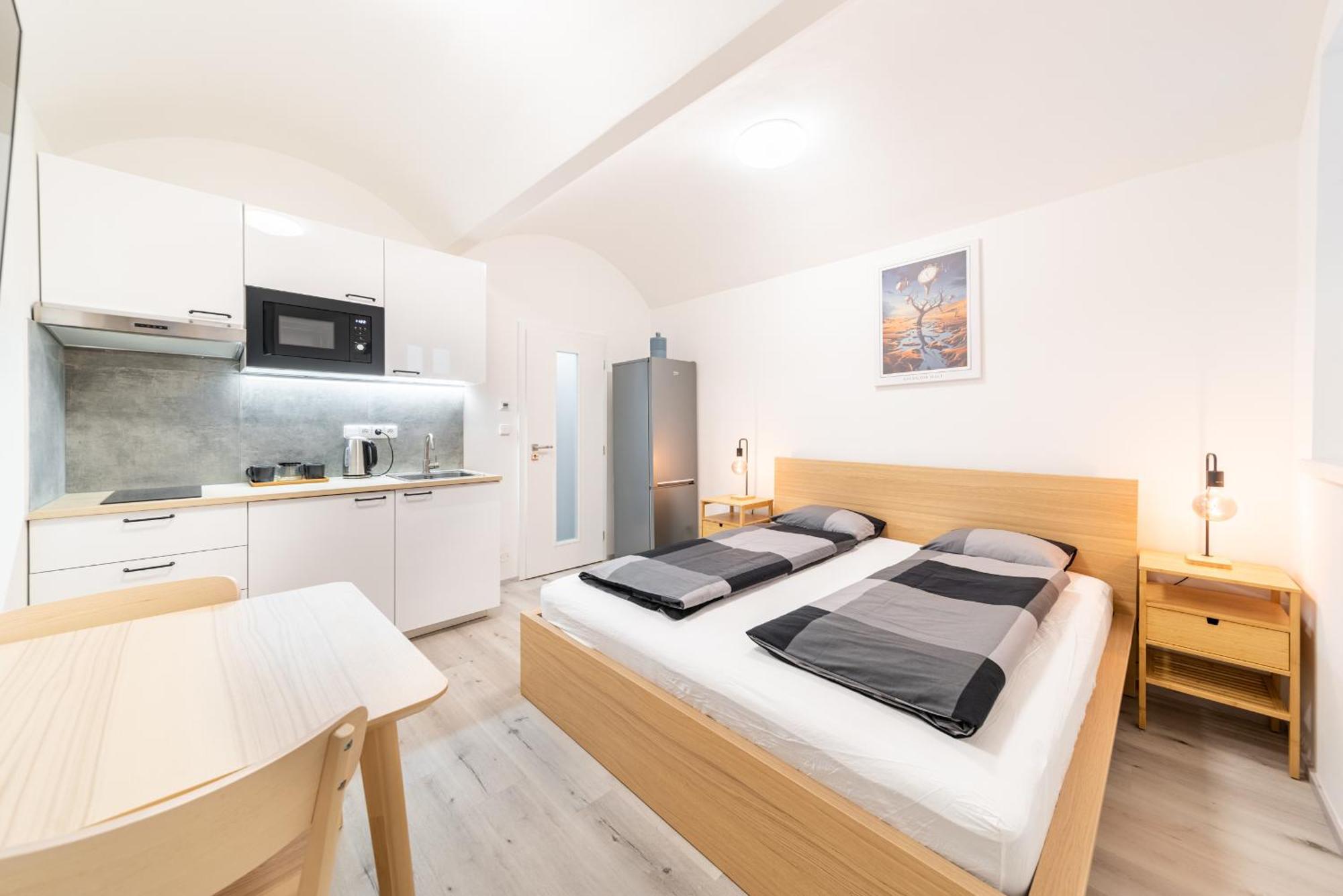 Apartment Borivojova 63 Prague