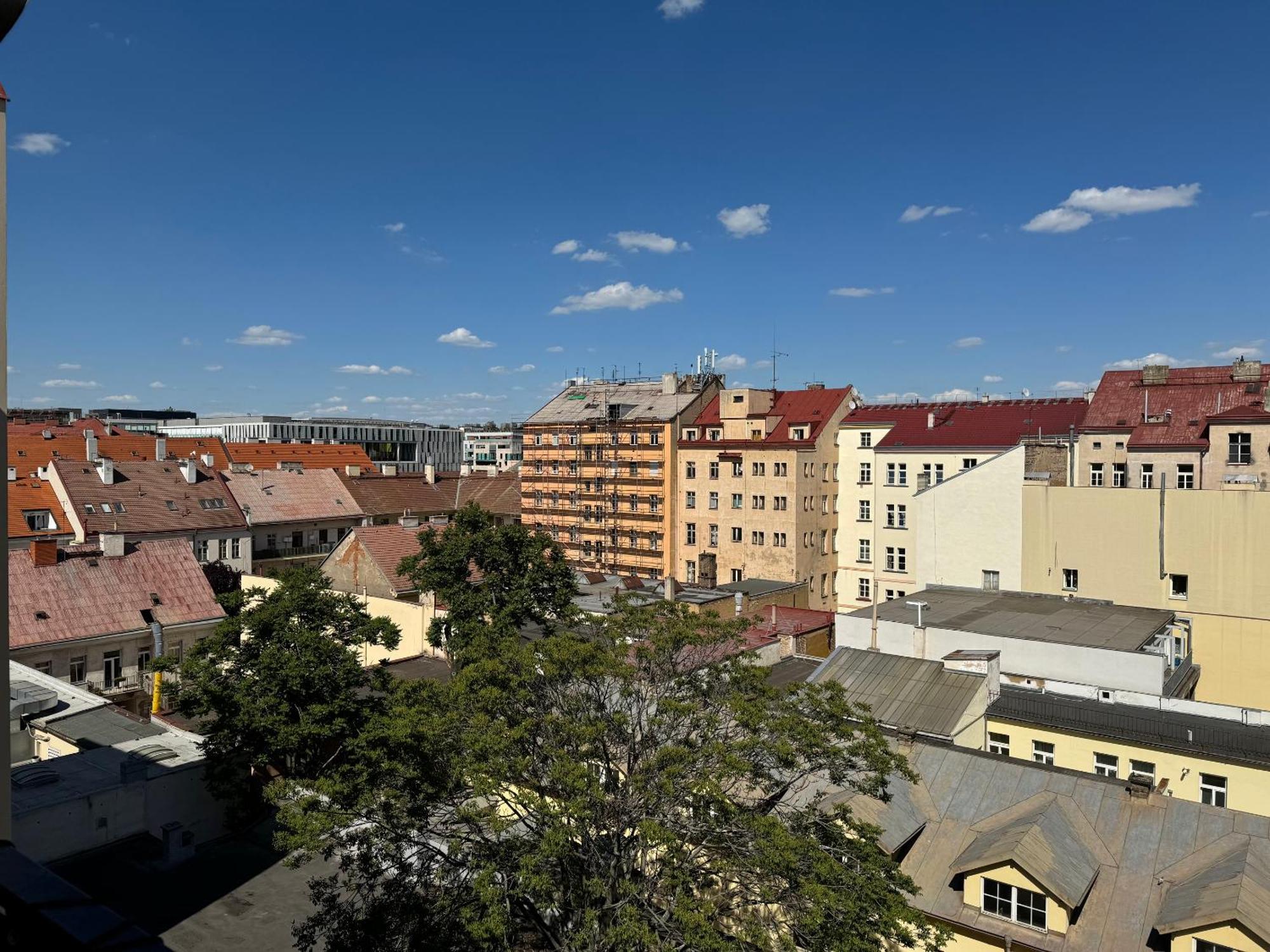 Vitkova Duplex With Terrace Near Florenc Apartment