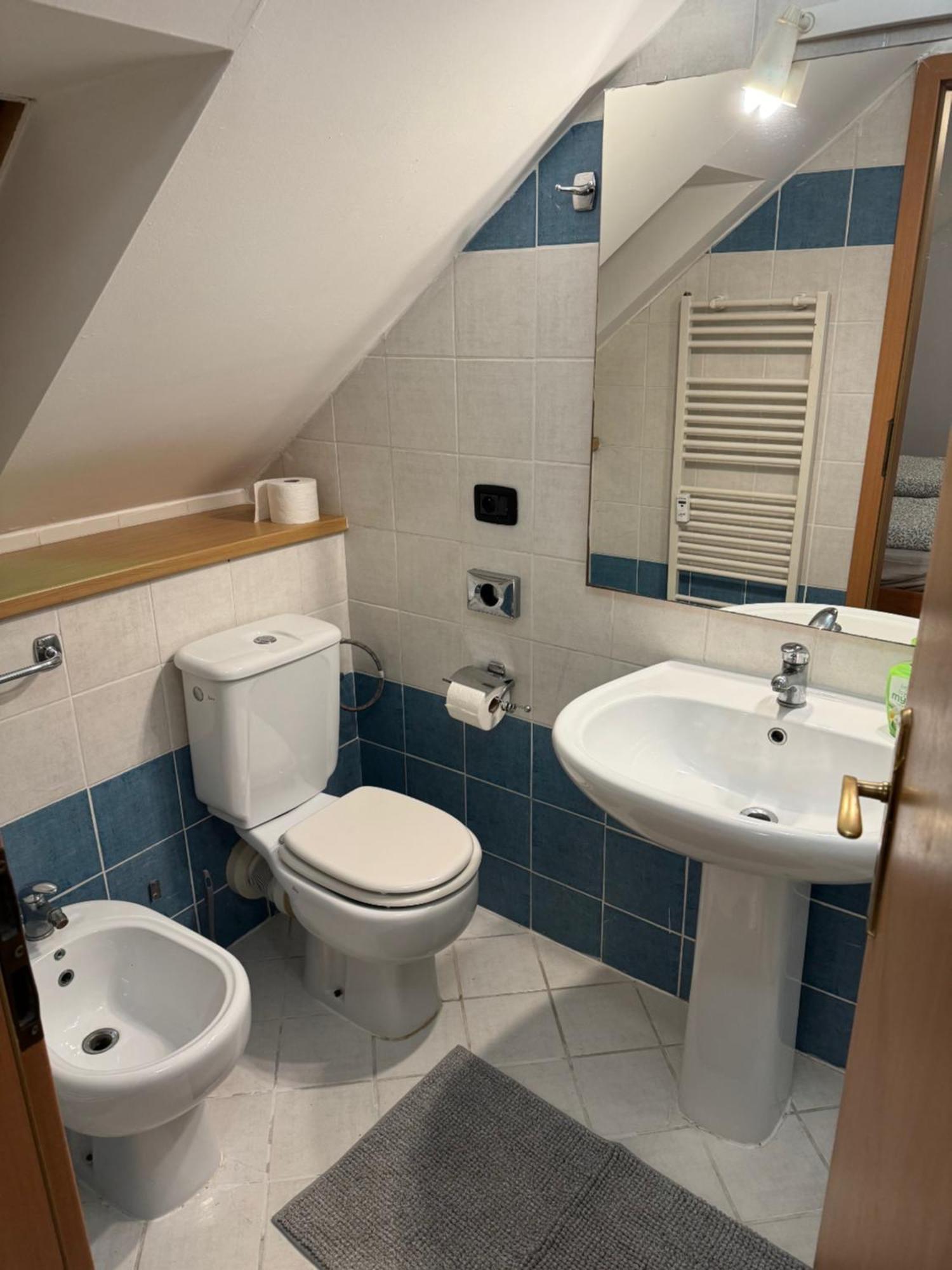 Vitkova Duplex With Terrace Near Florenc * Prague