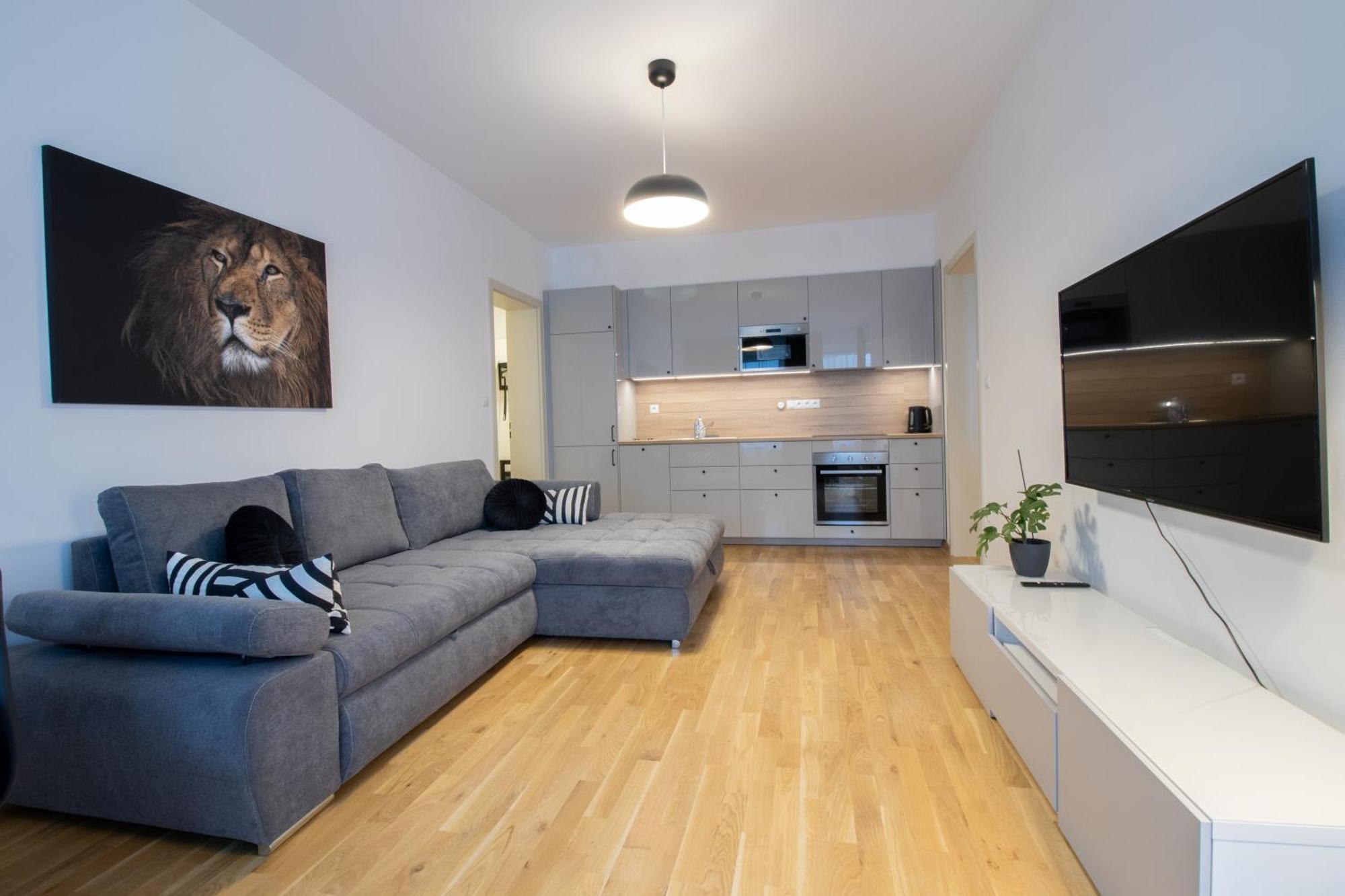 Krakovska Apartment