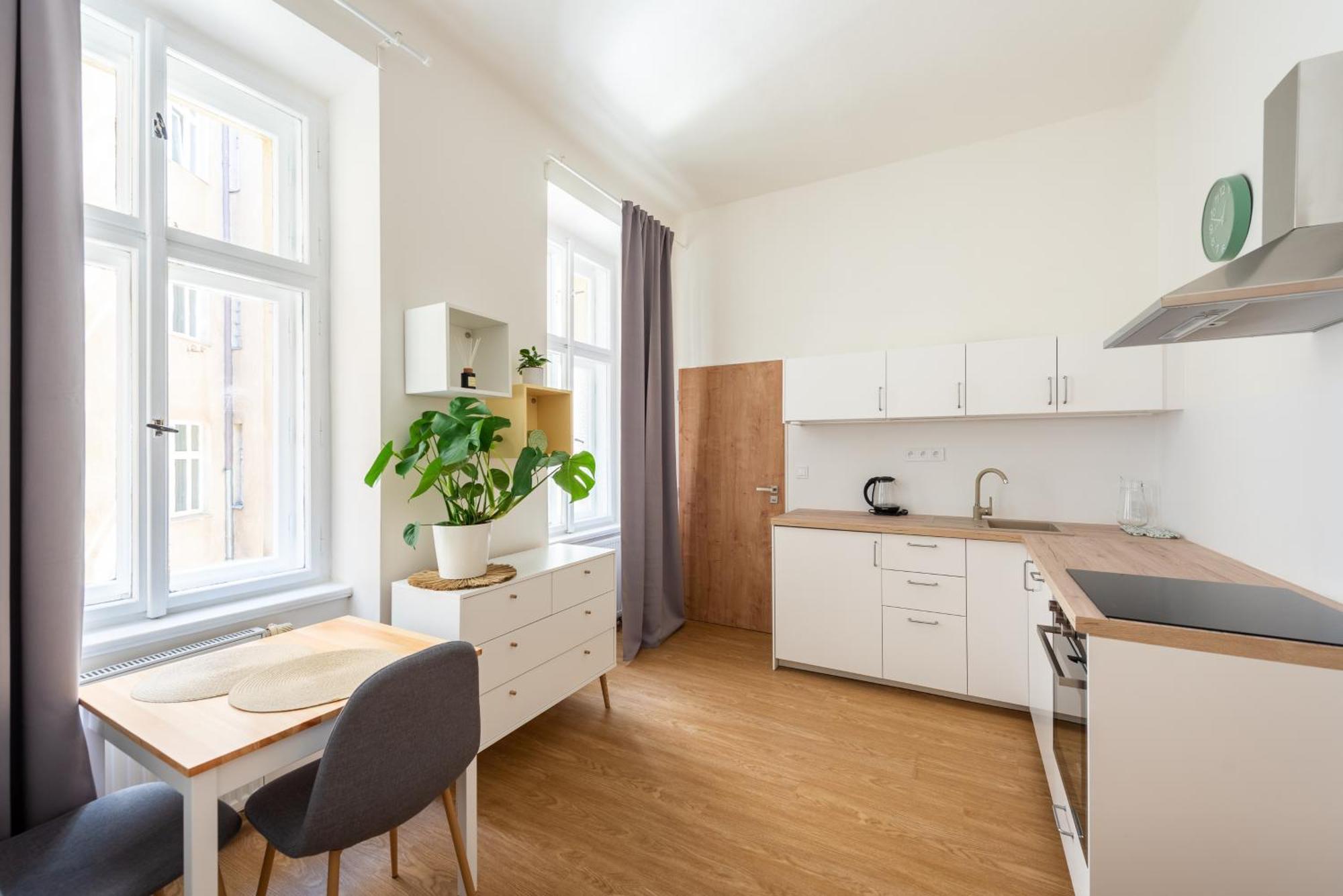Tesnov Apartment