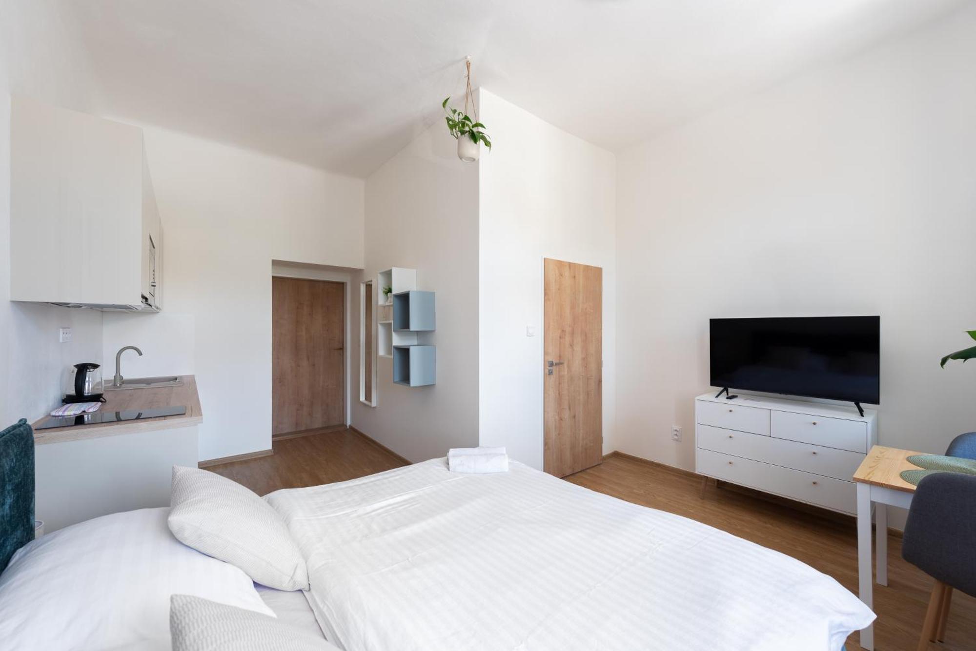 Apartment Tesnov