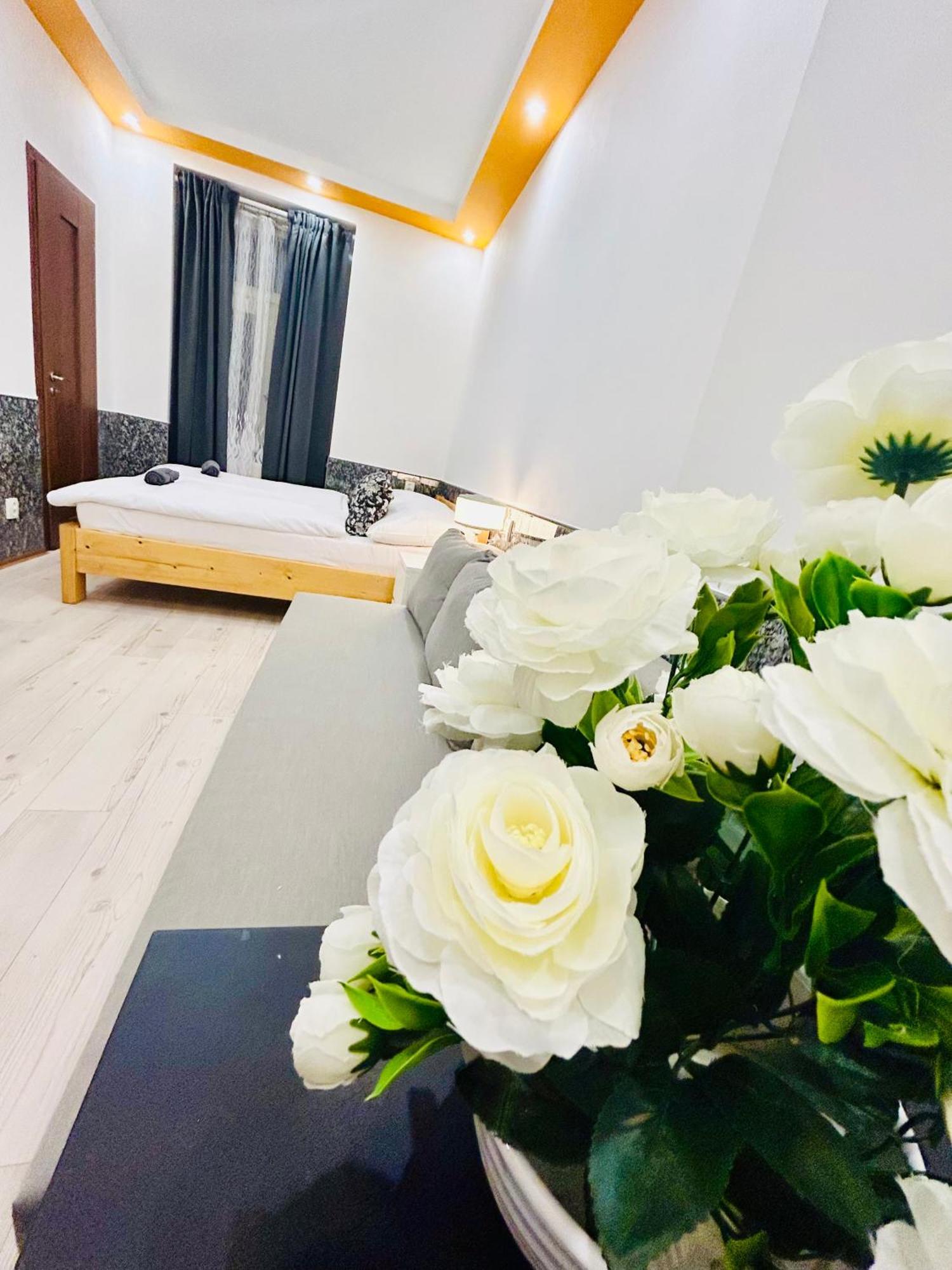 Modern Spacious In Center * Prag