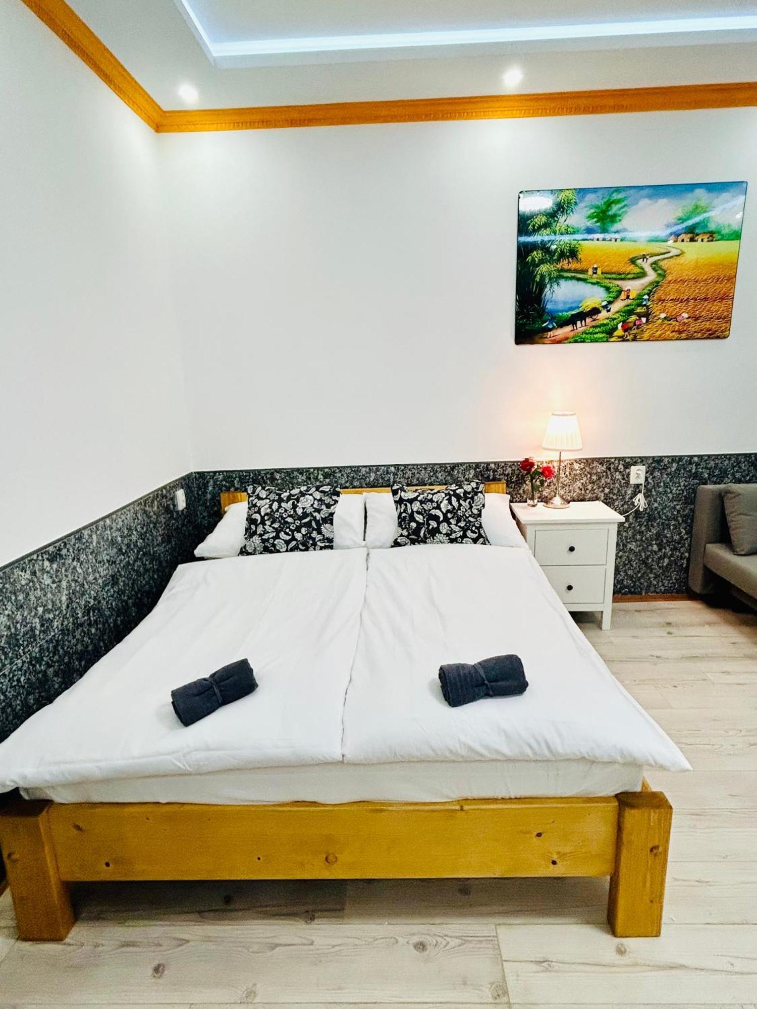 Modern Spacious In Center Prag