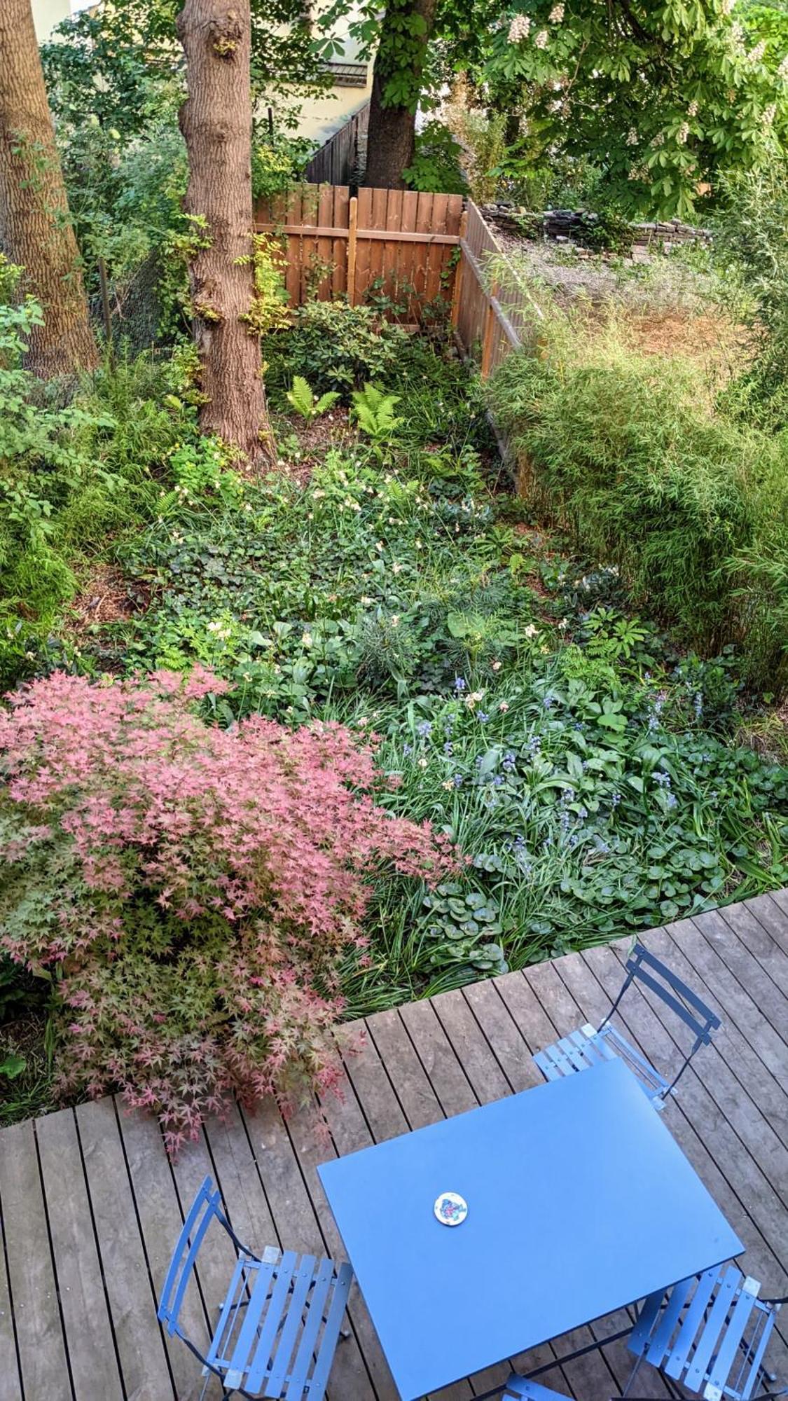 Romantic And Atypical In Prague's Montmartre Lejlighed Prag