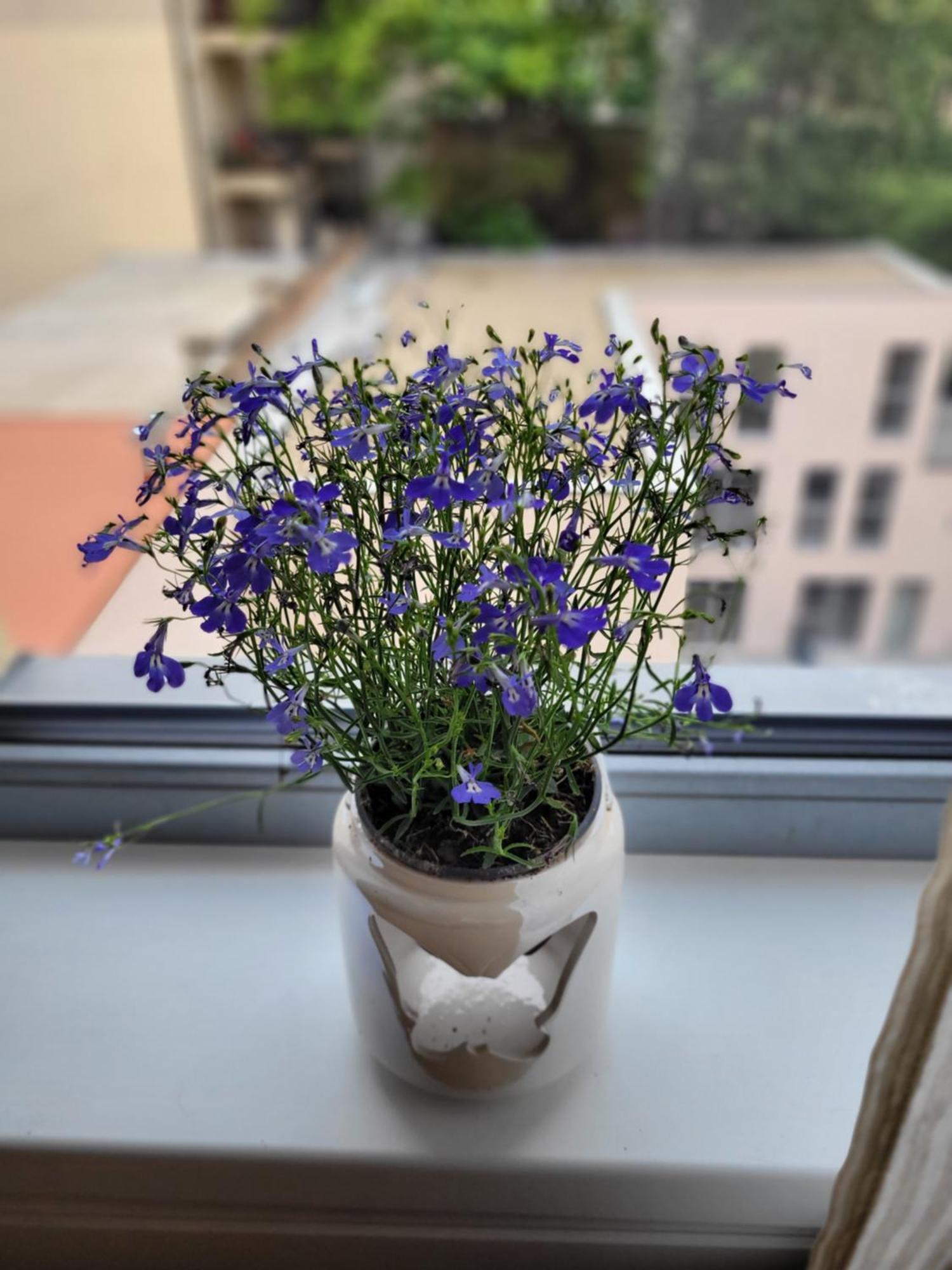 Apartment Klidne Misto Pro Tebe Prague