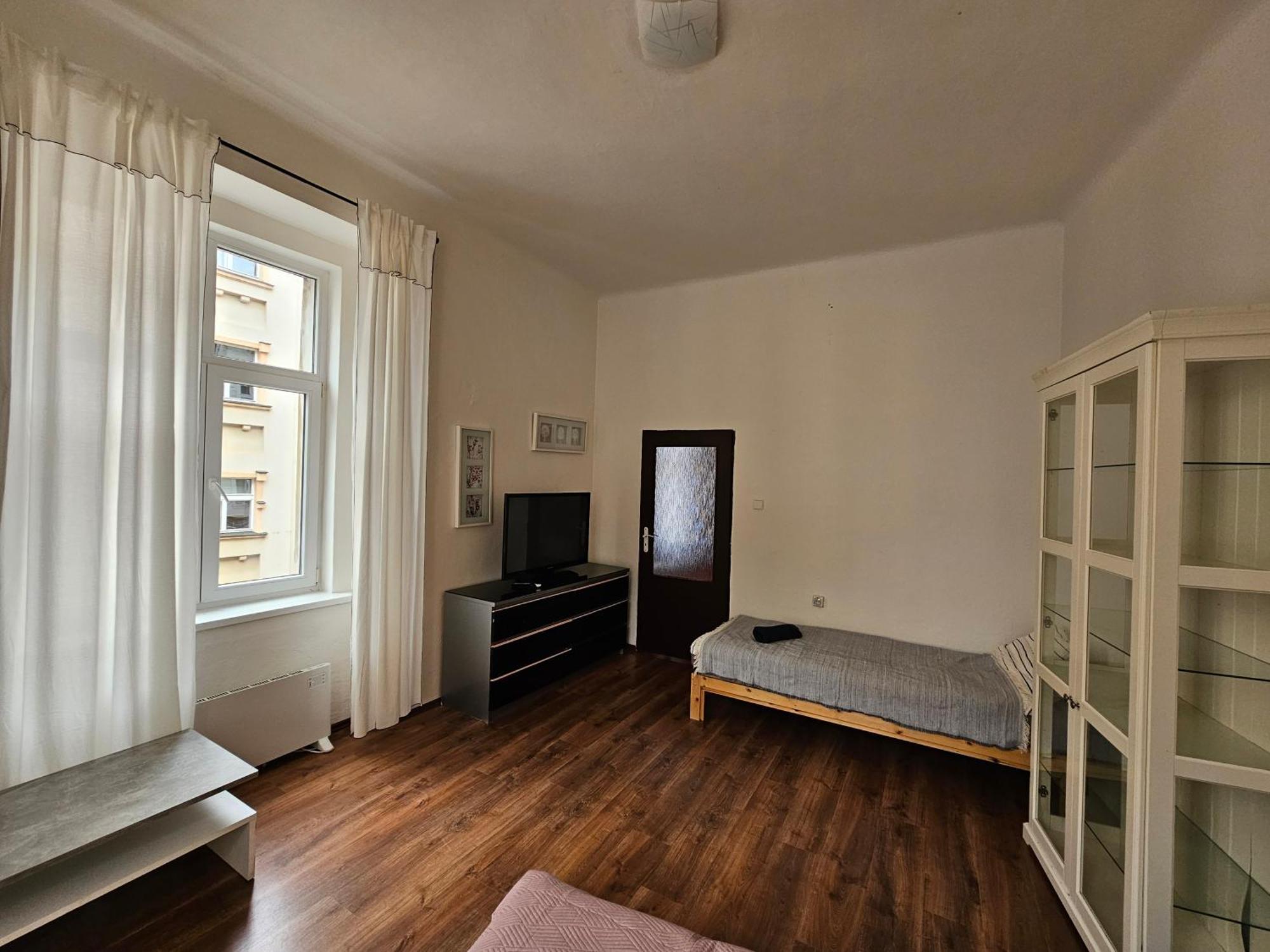 Apartment Zizkov 2c *