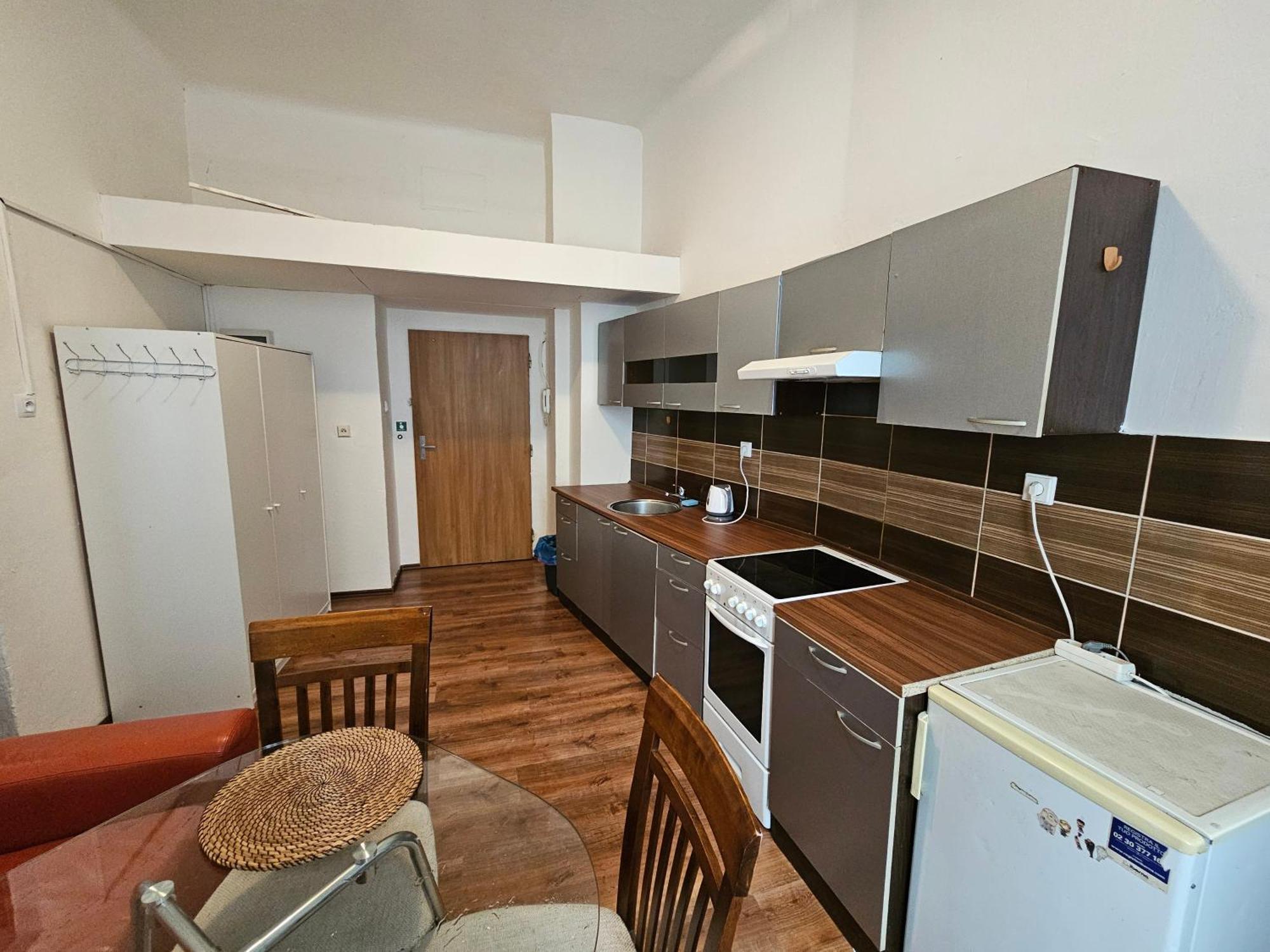Apartment Zizkov 2c