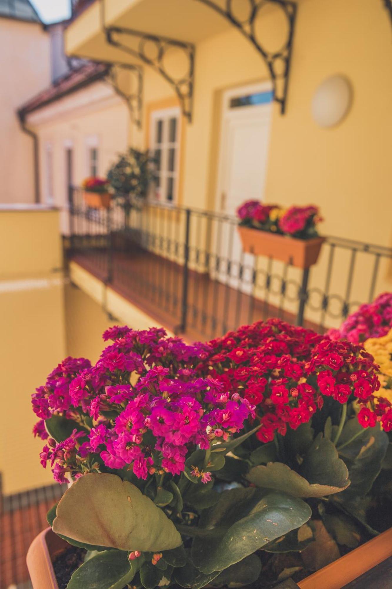 Hotel Boutique Constans