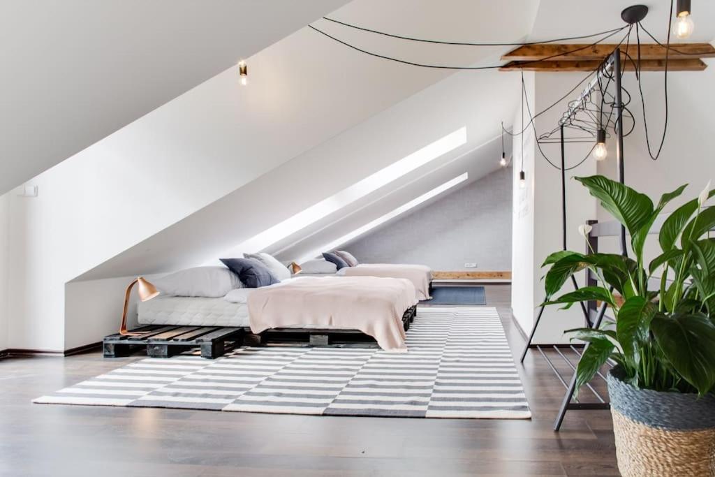 Unique City Centre Duplex, Castle View, Roof Top Terrace
