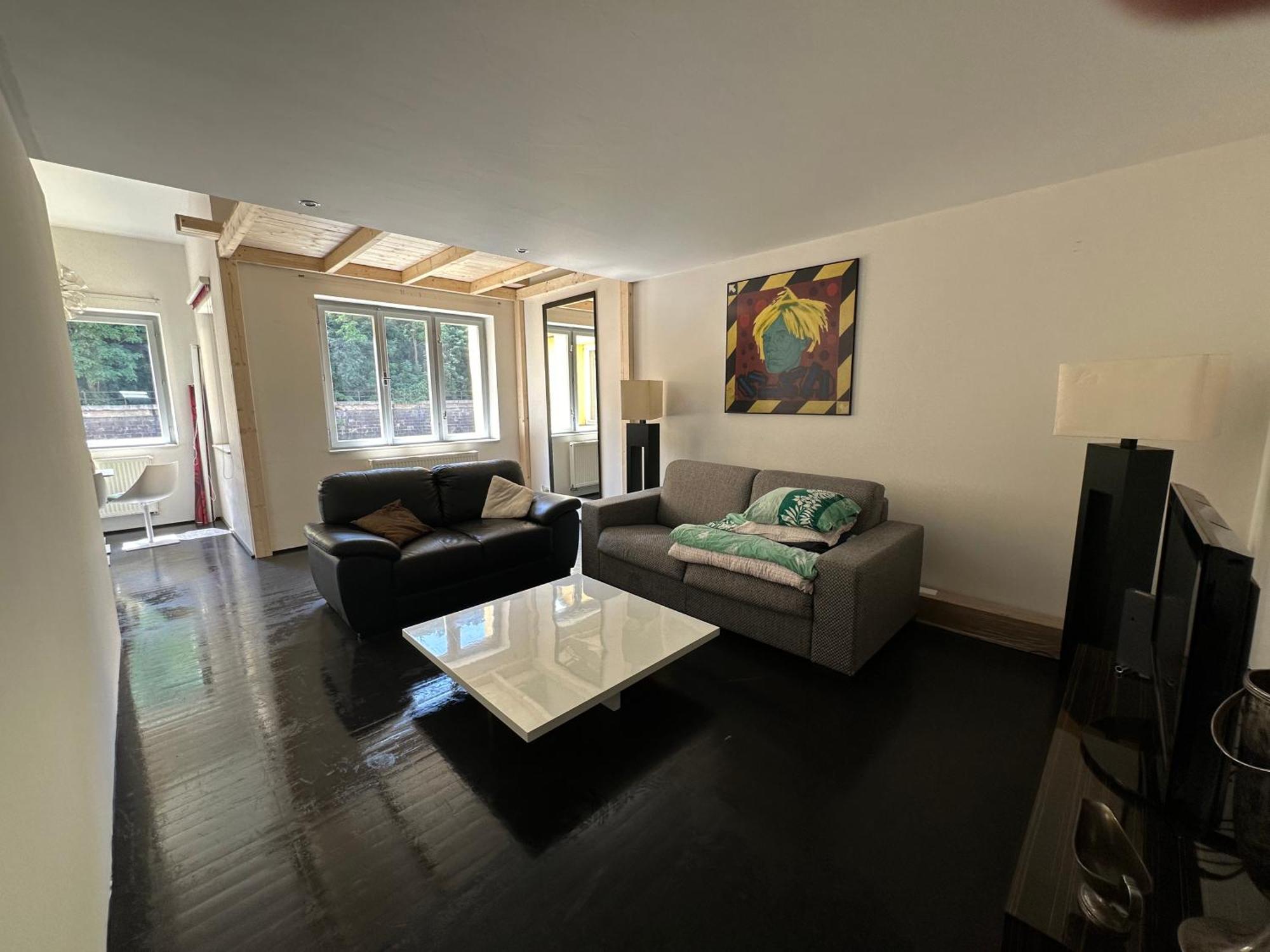 Apartmán Spacious Karlin Lofty Praha