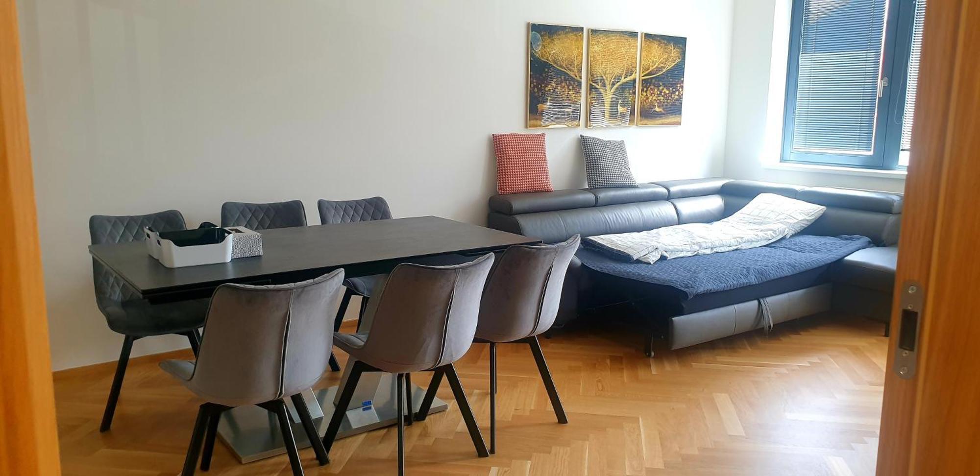 Apartment Smichov *