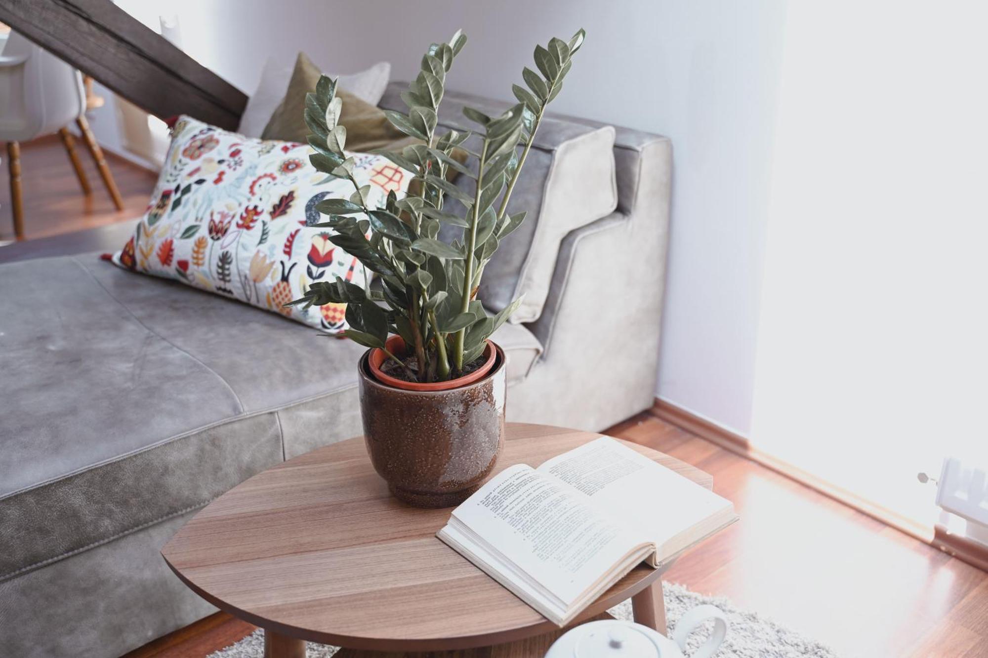 Bohemian Symphony Apartment *