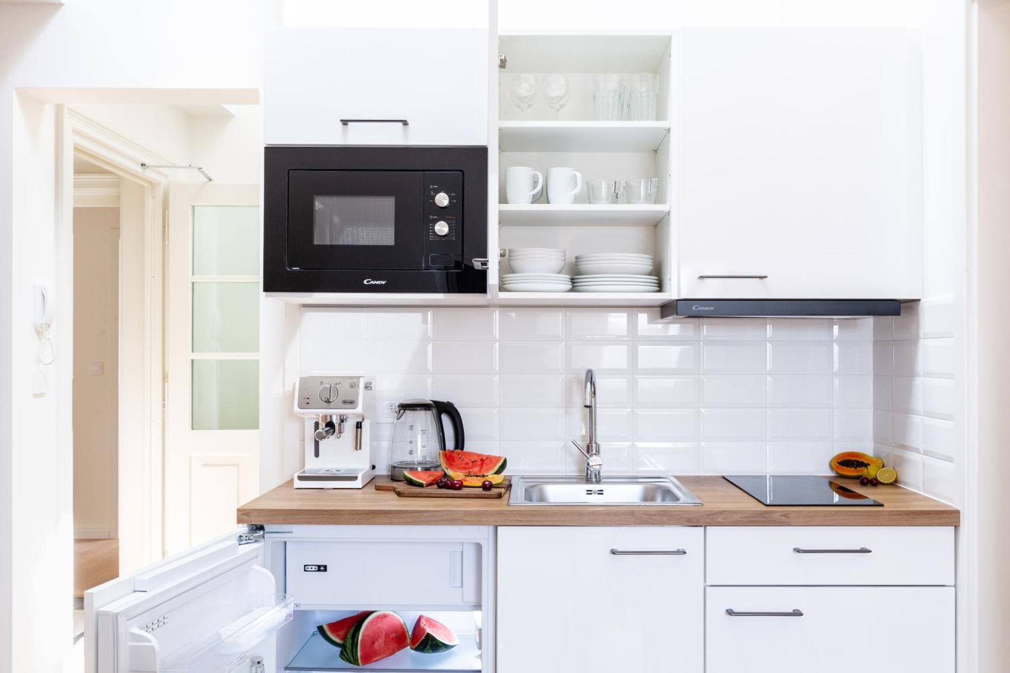 Apartment Turnkey I Antonin Dvorak Prague