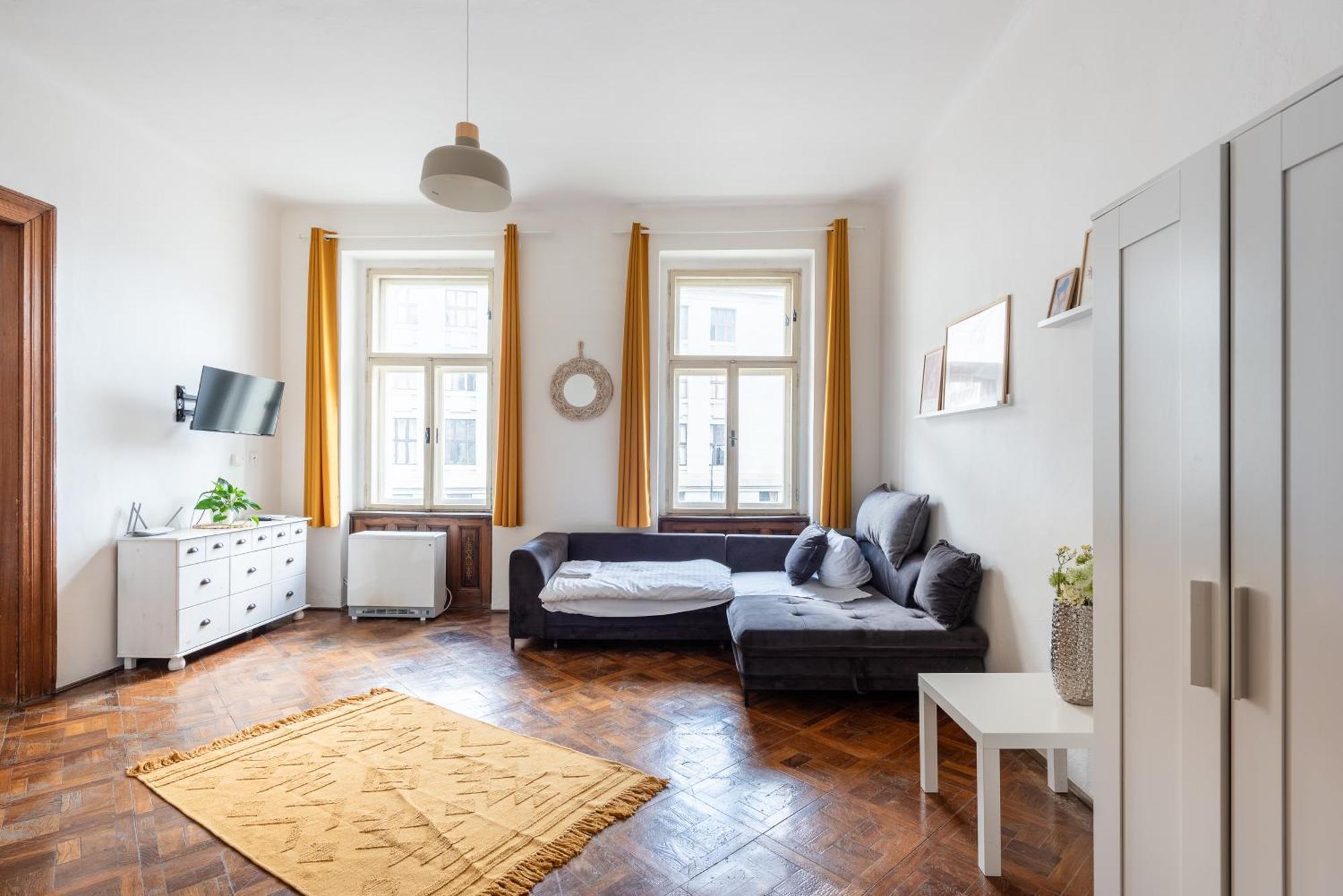 Apartment Tesnov Prague