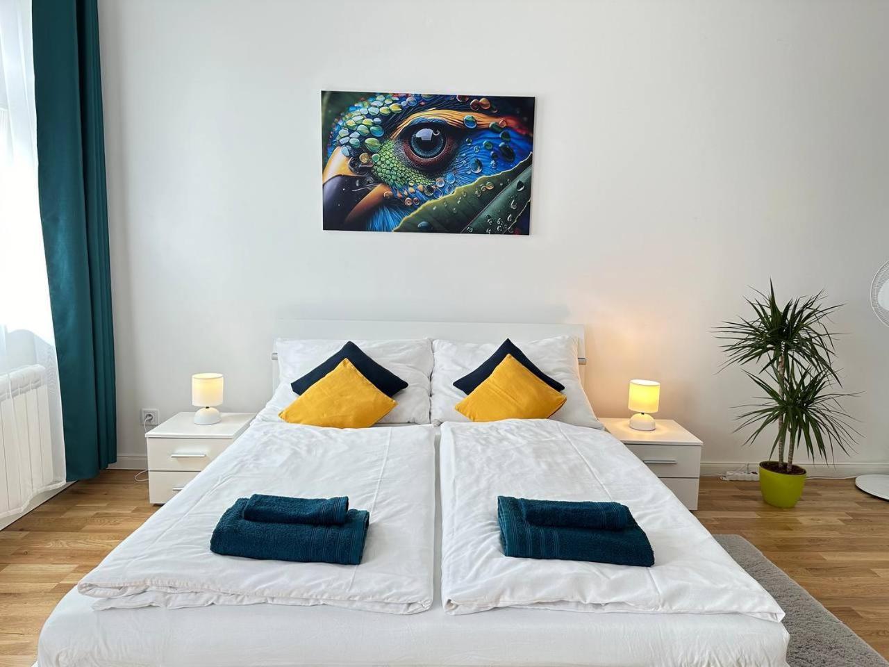 Nice 1 Studio In The Center Of Apartment *