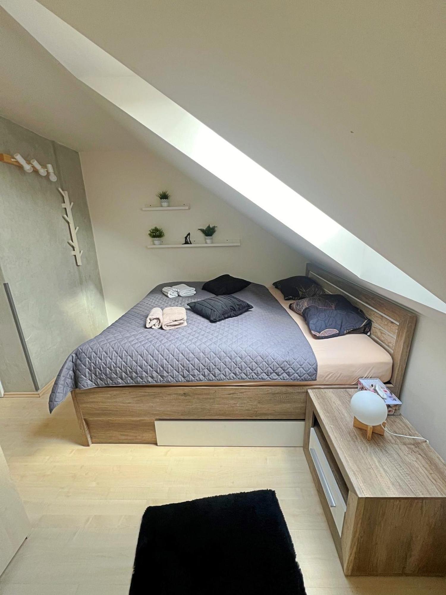 Apartment Mezonetovy V Centru Prag