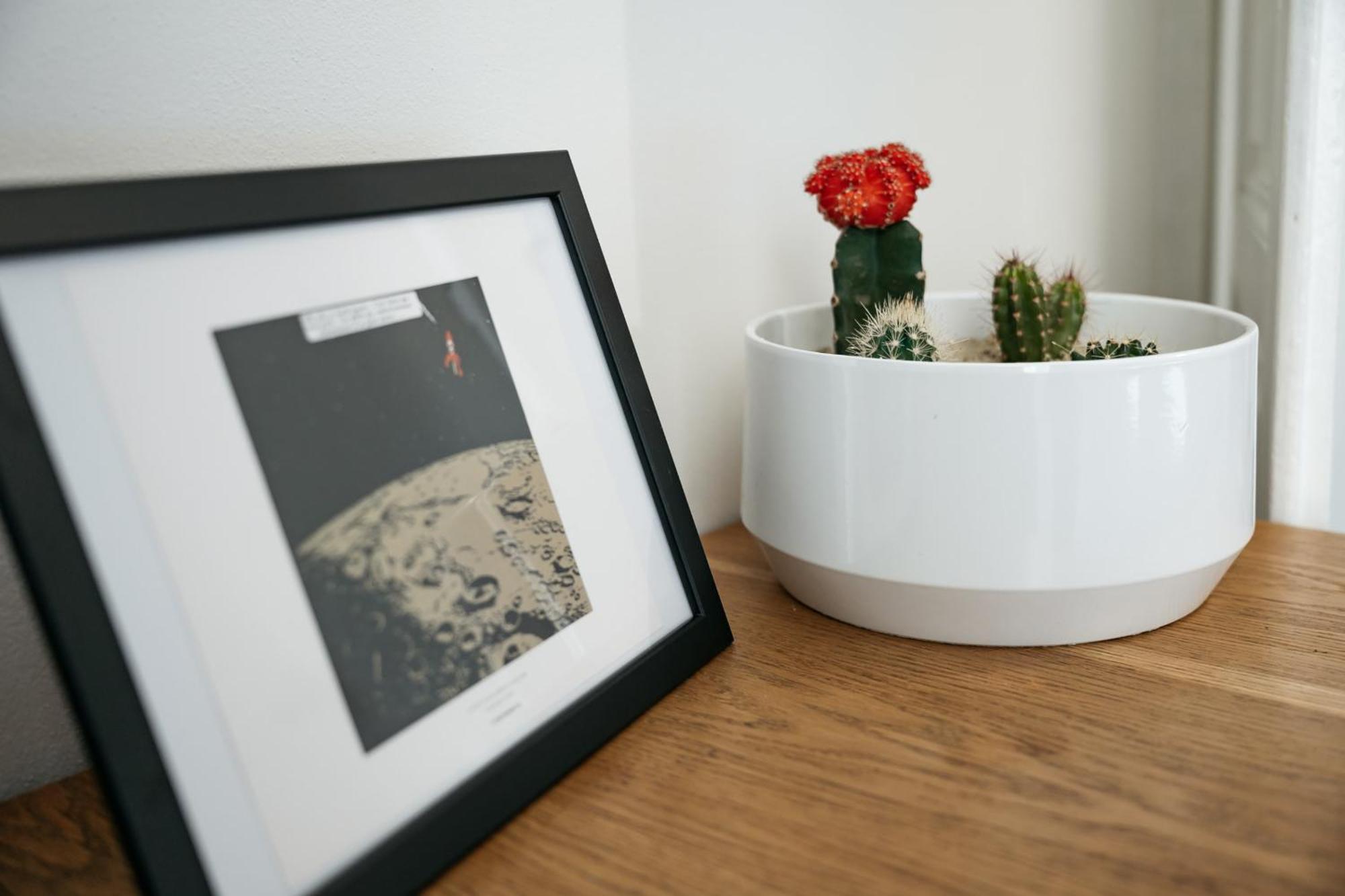Comfortable And Cosy A Few Steps From Dancing House And Naplavka Dance Prag