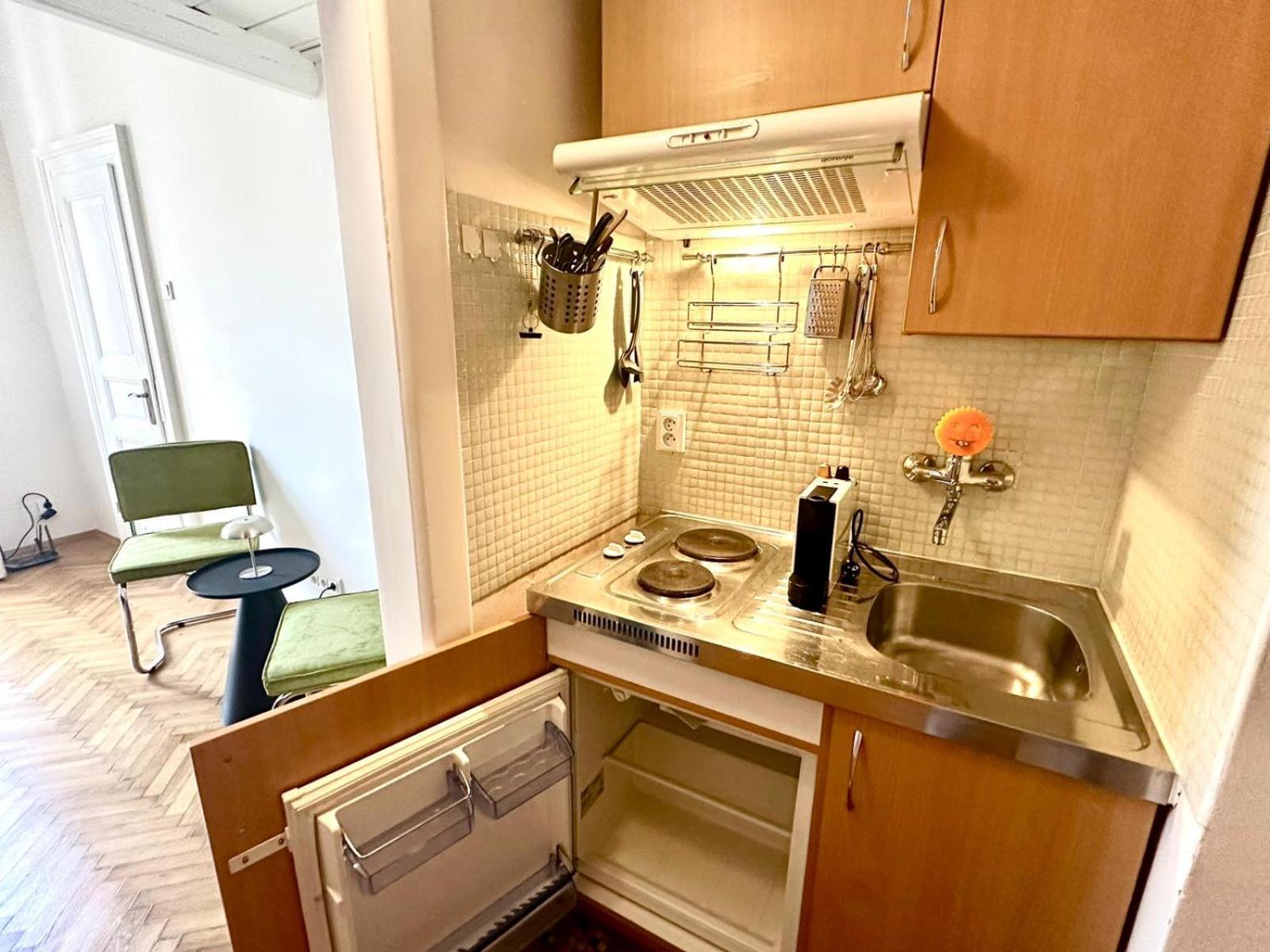 Apartment Siroka 14