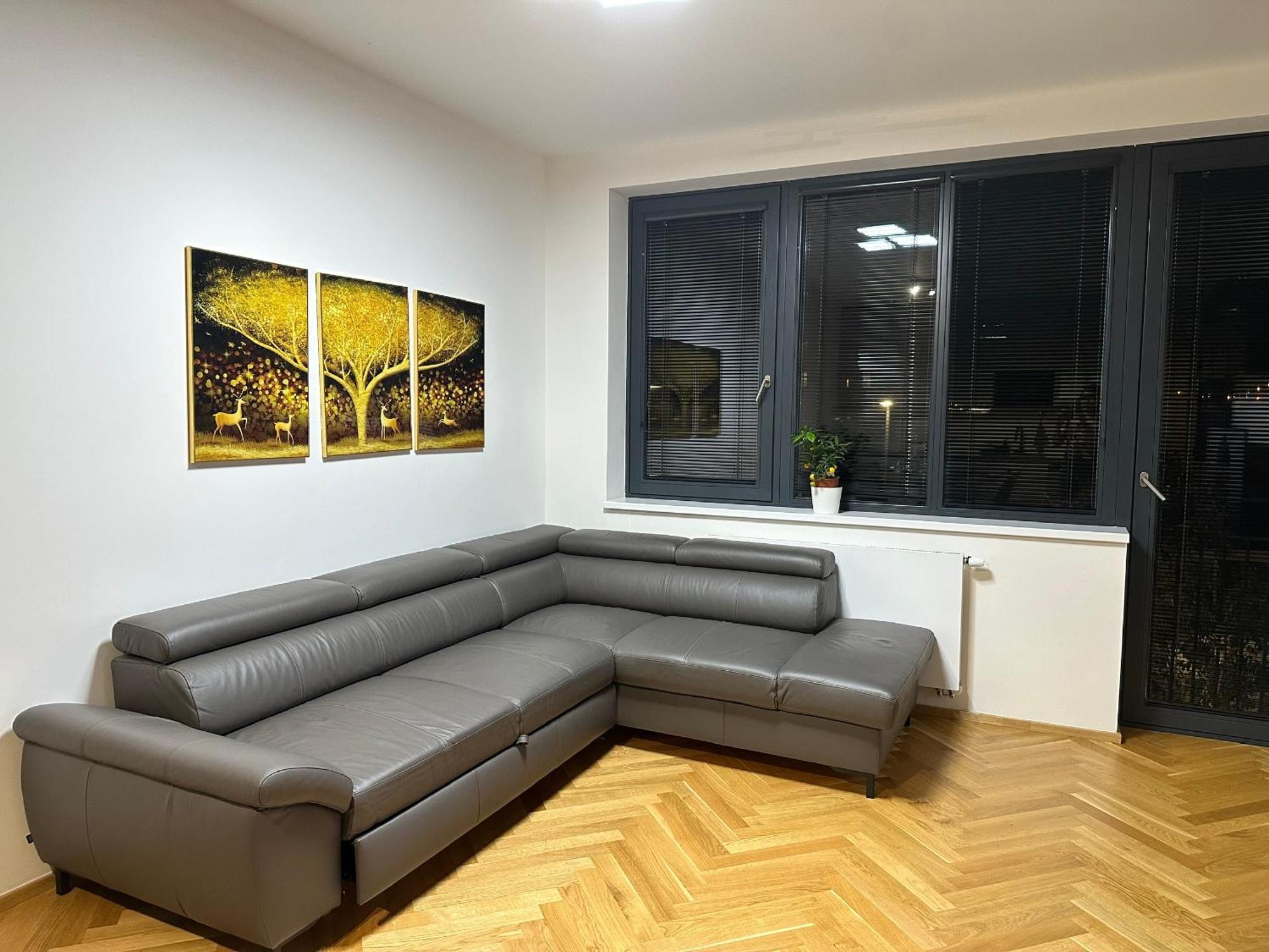 Apartment Smichov Prag