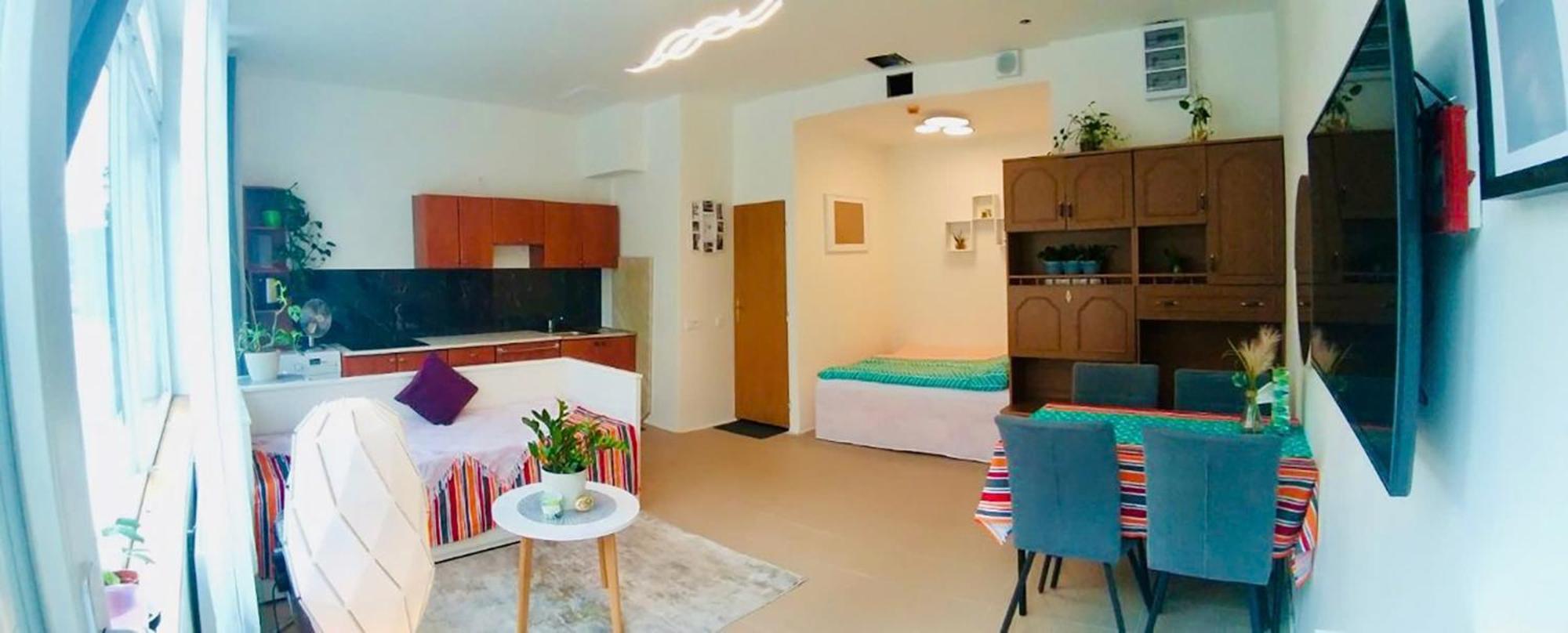 2 L Ground Floor Free Parking Prag