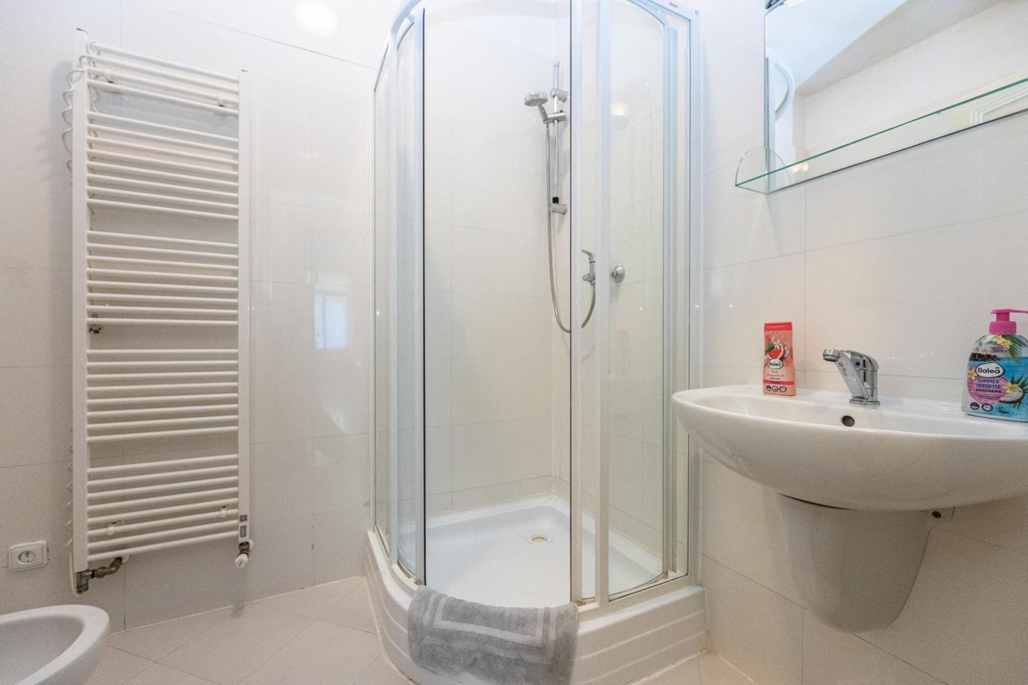 Jiriho Z Podebrad Apartment Prag