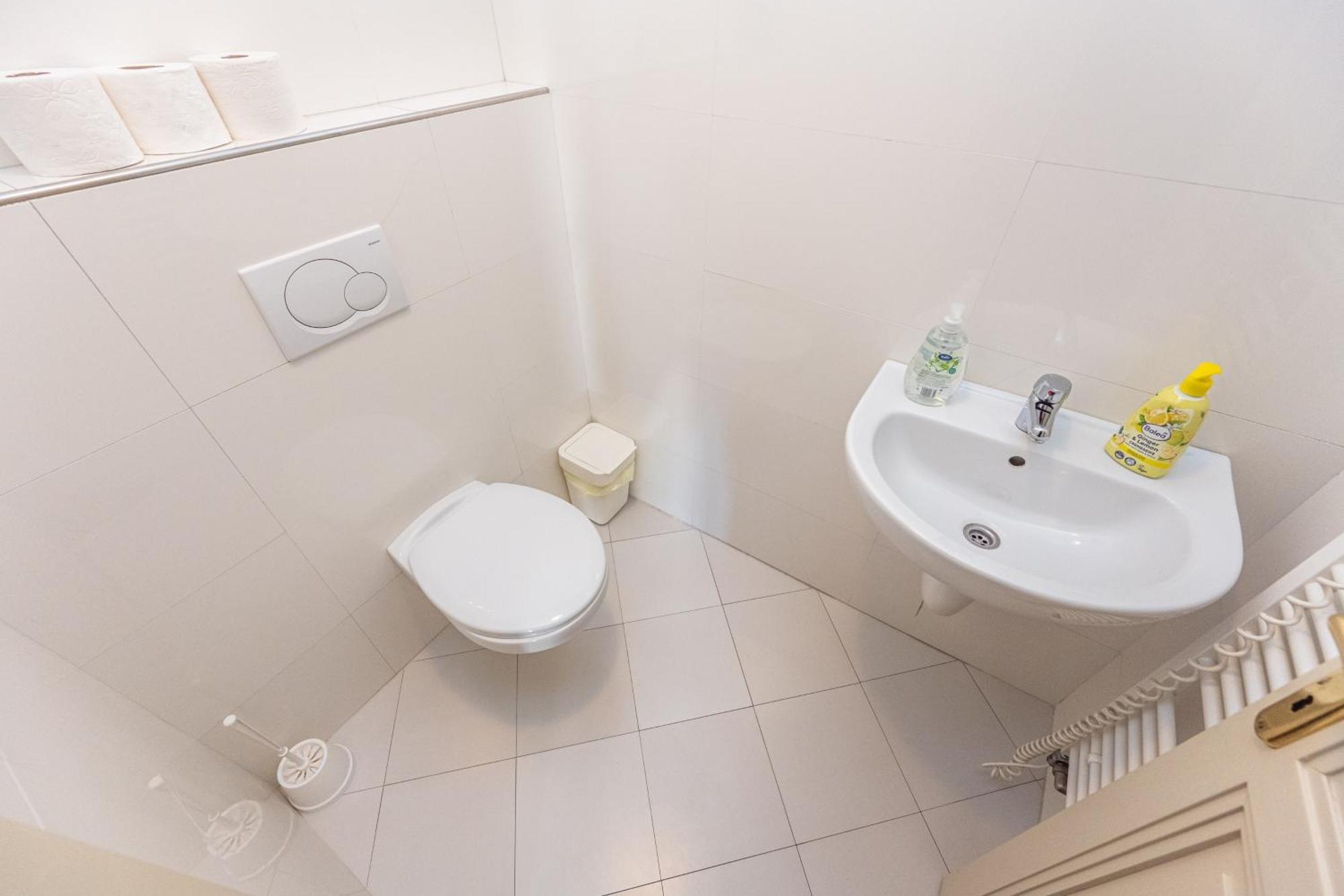 Apartment Jiriho Z Podebrad Prag