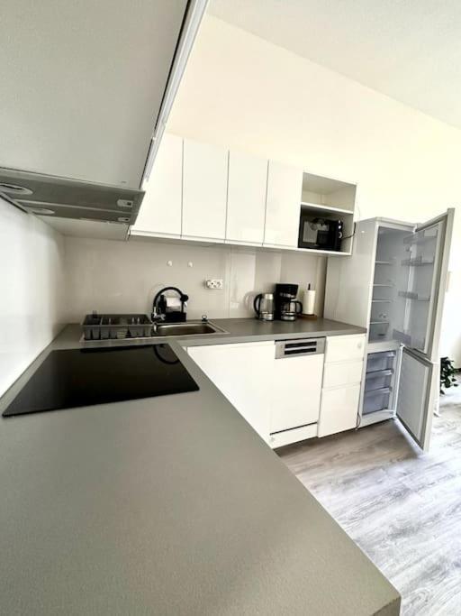 Flat With Balcony And Garage
