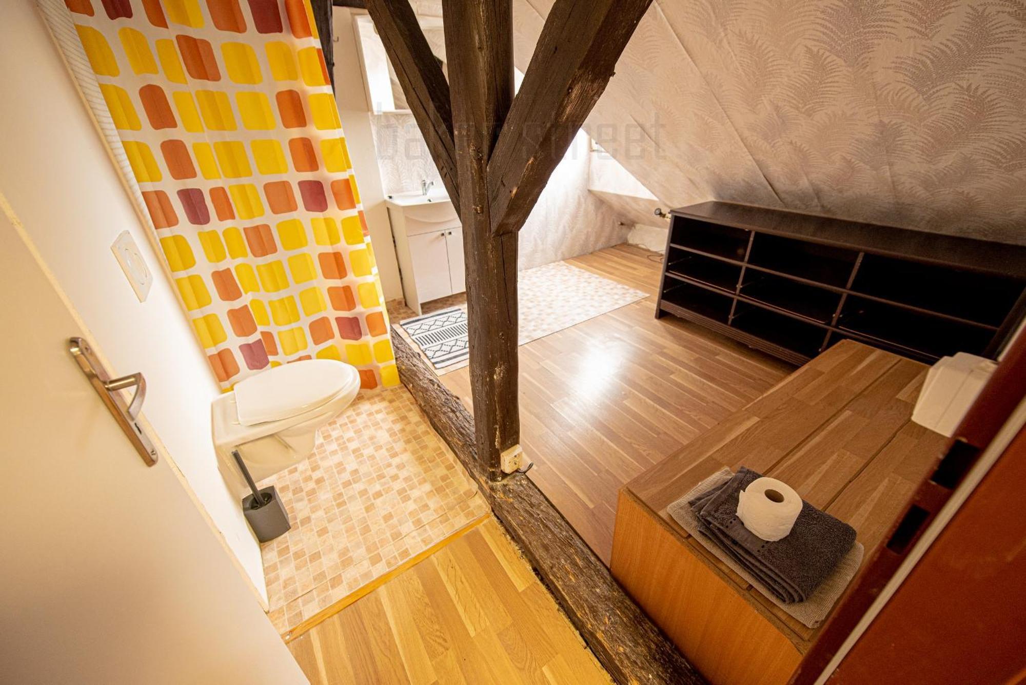 Attic 3 Bedrooms With 2 Bathrooms Apartment Prag