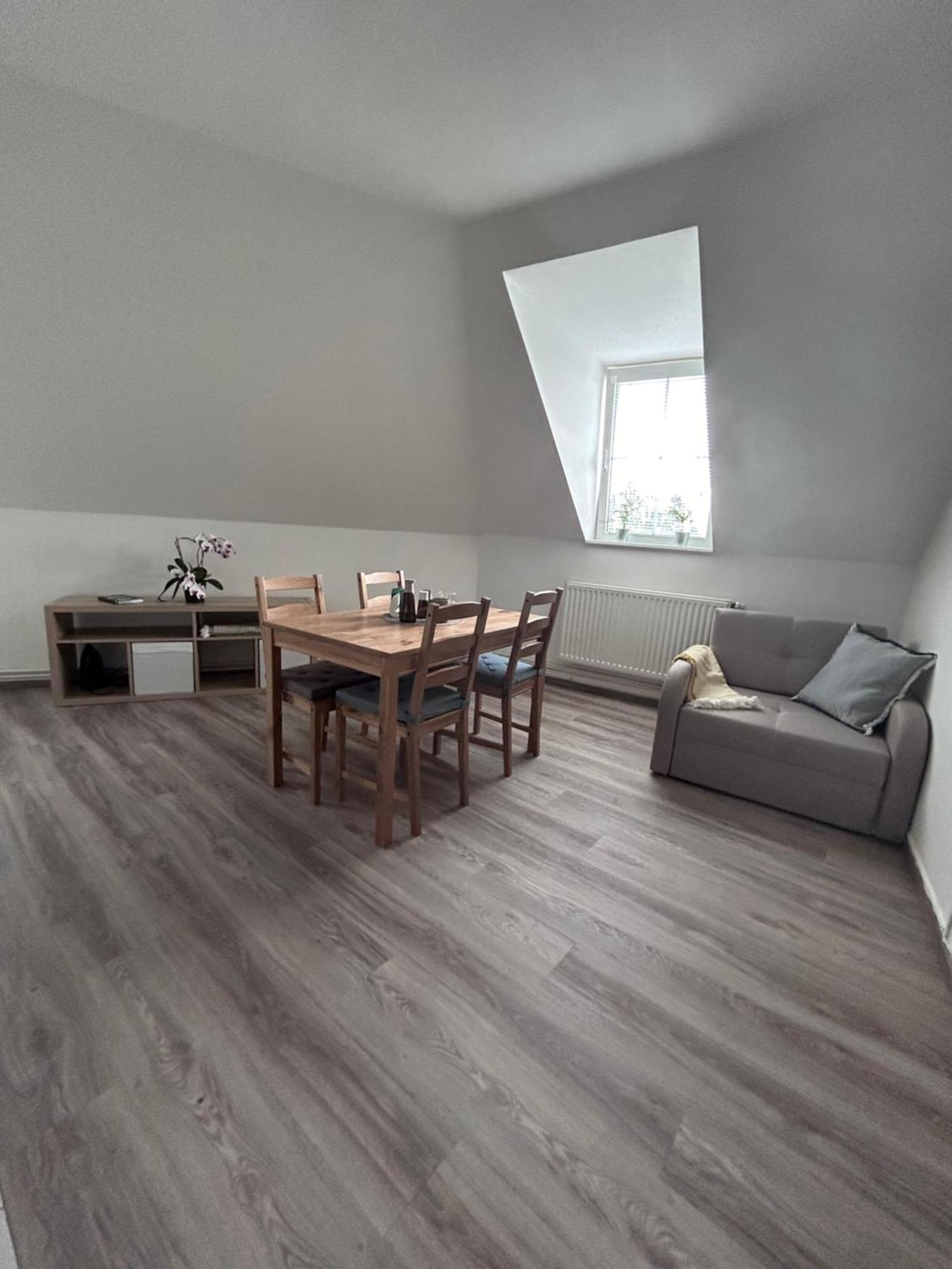 U Drahusky Apartment Prag