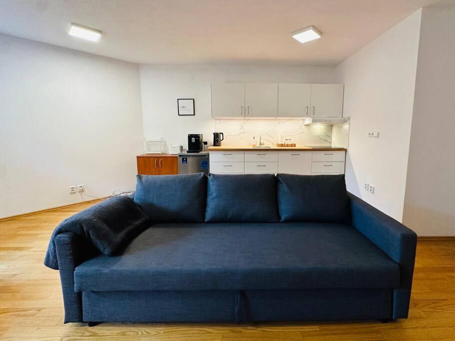 Family-friendly 5 Apartment *