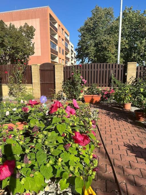 Family-friendly 5 Apartment Prague