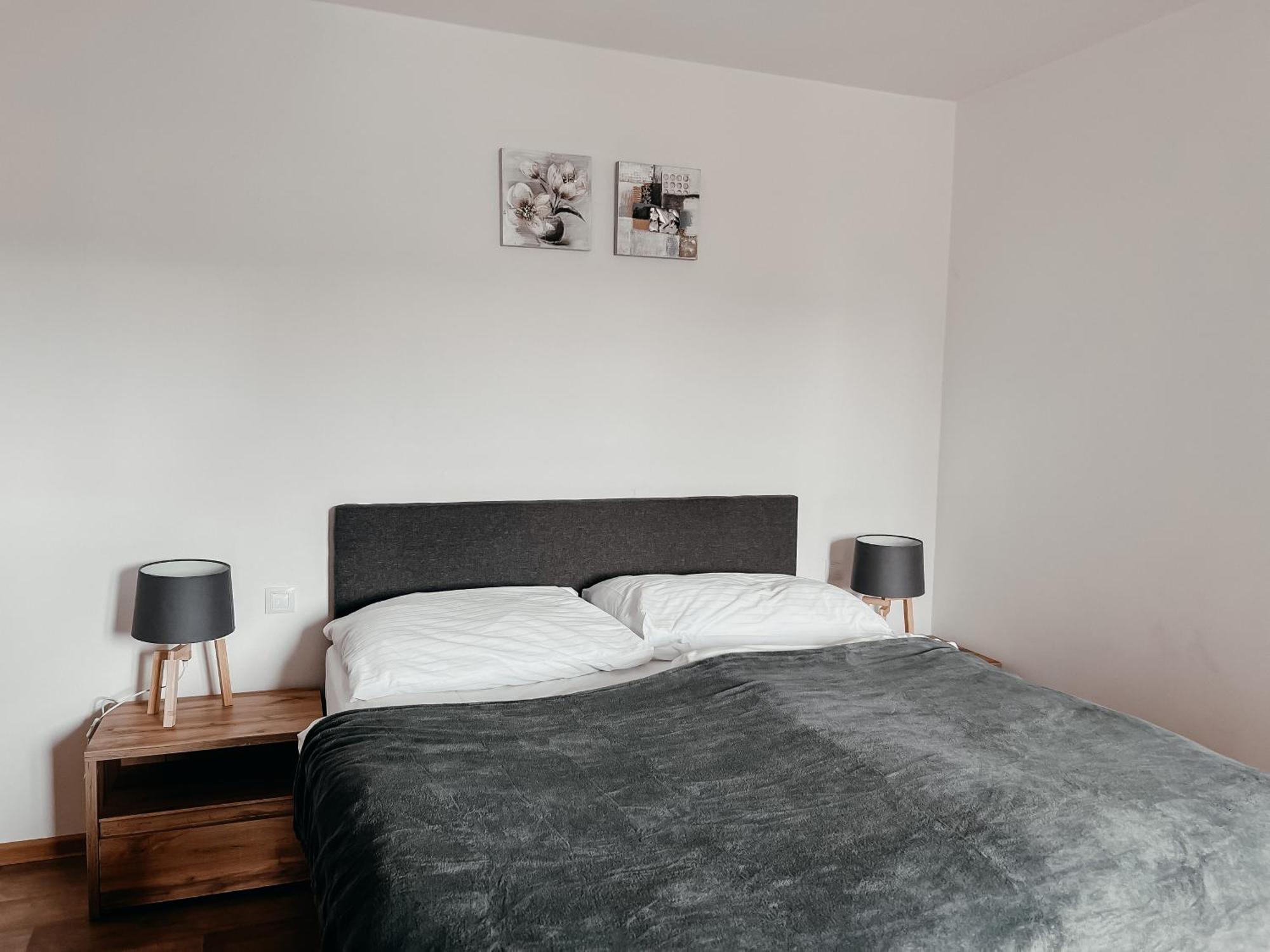 Sokolska Apartment