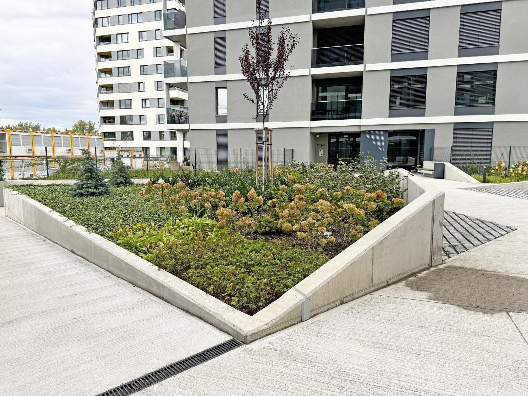 Apartment New Studio, King Bed, Free Parking, Terrace *