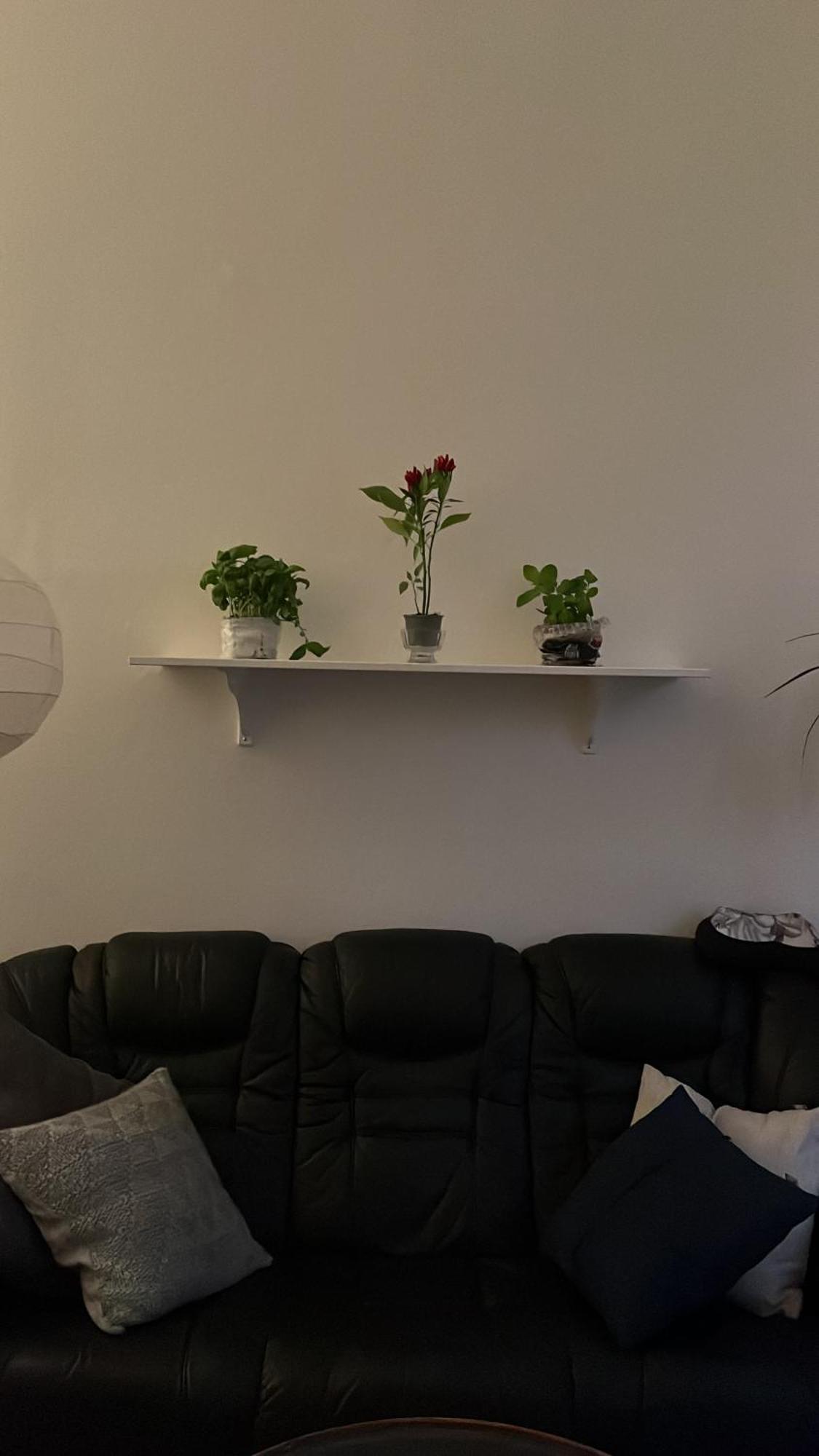 Apartment Retro In Prag