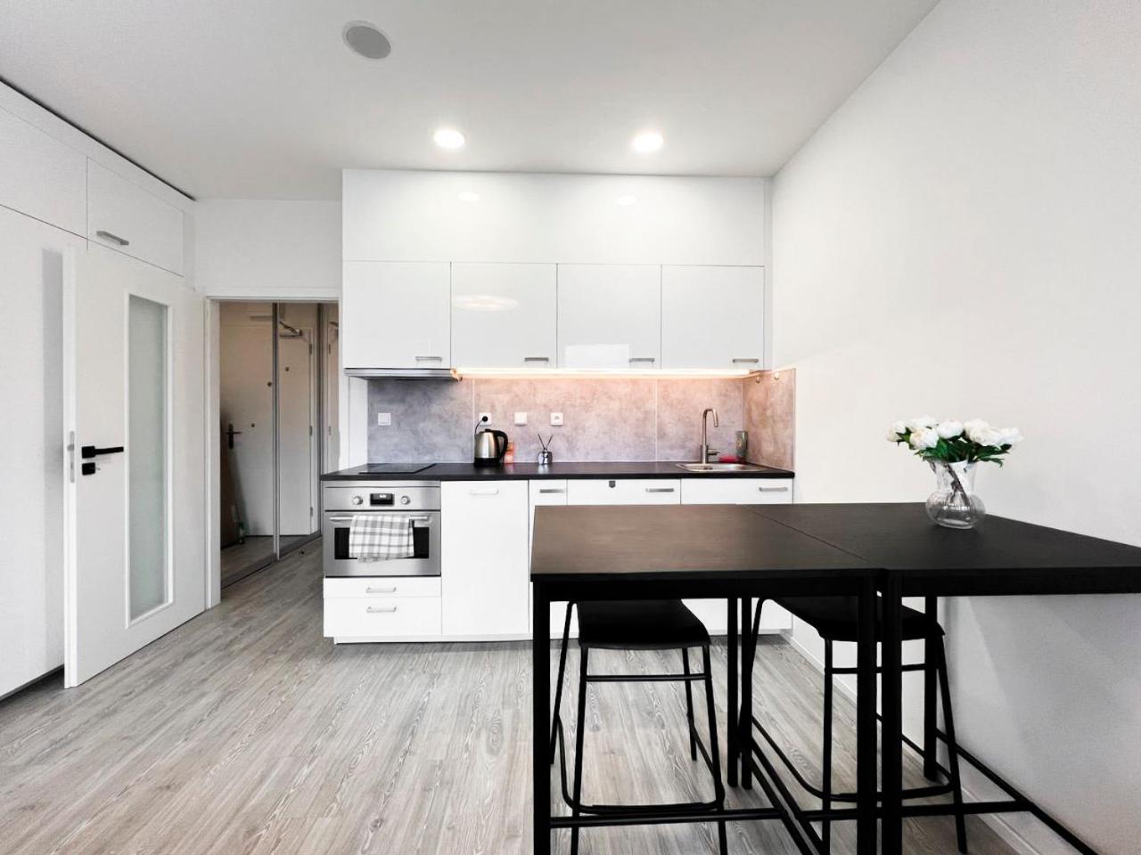 Apartment Vinice Prag