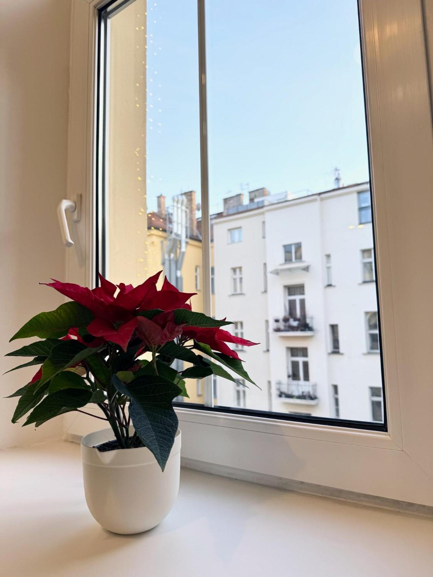 By Charles Bridge Apartment