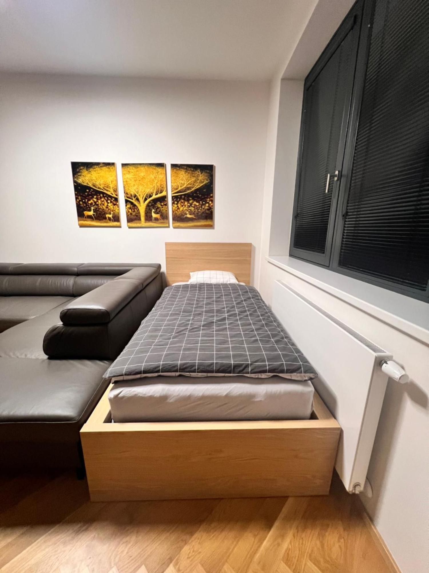 Apartment Smichov Prag