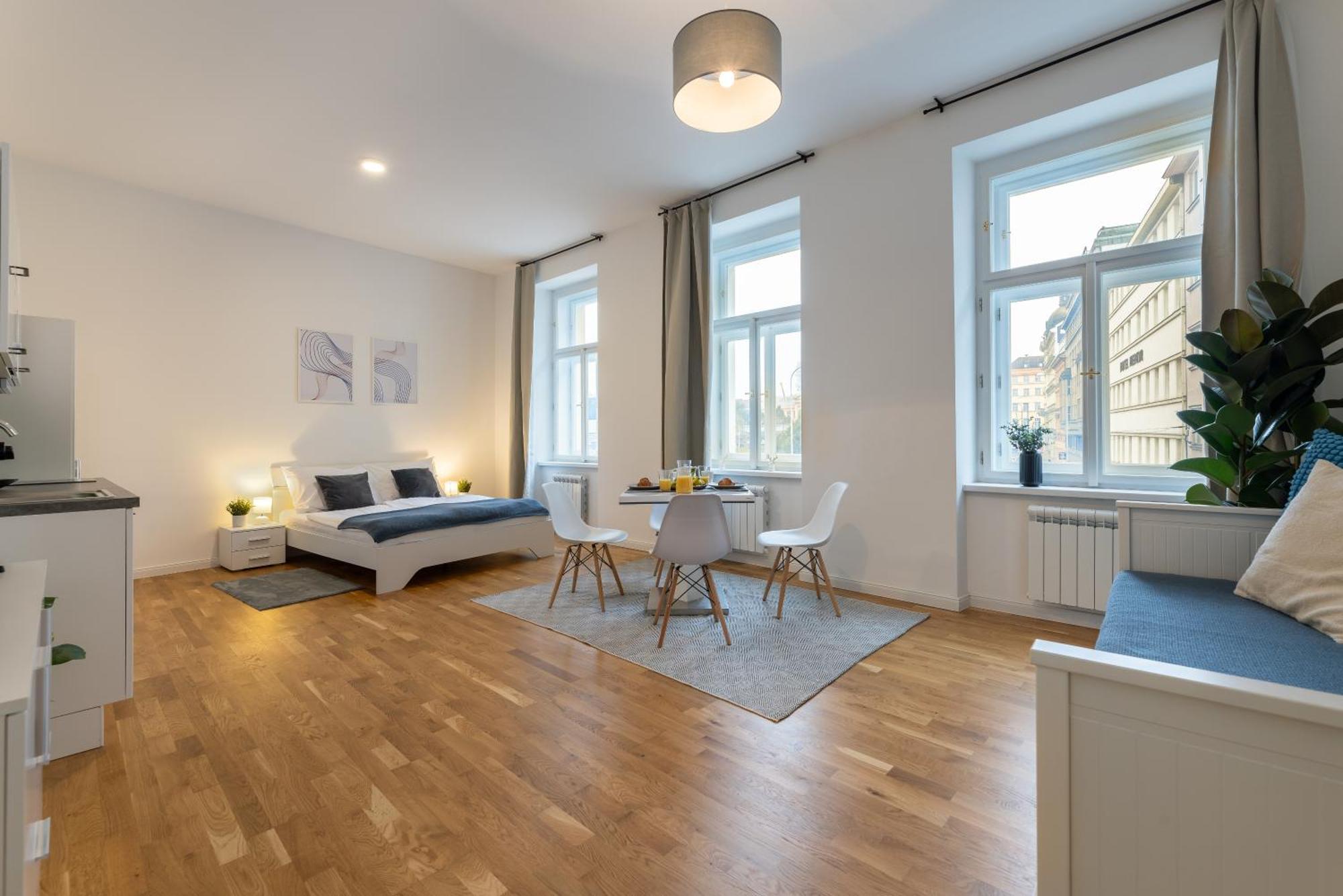 Apartmán Petrska Praha