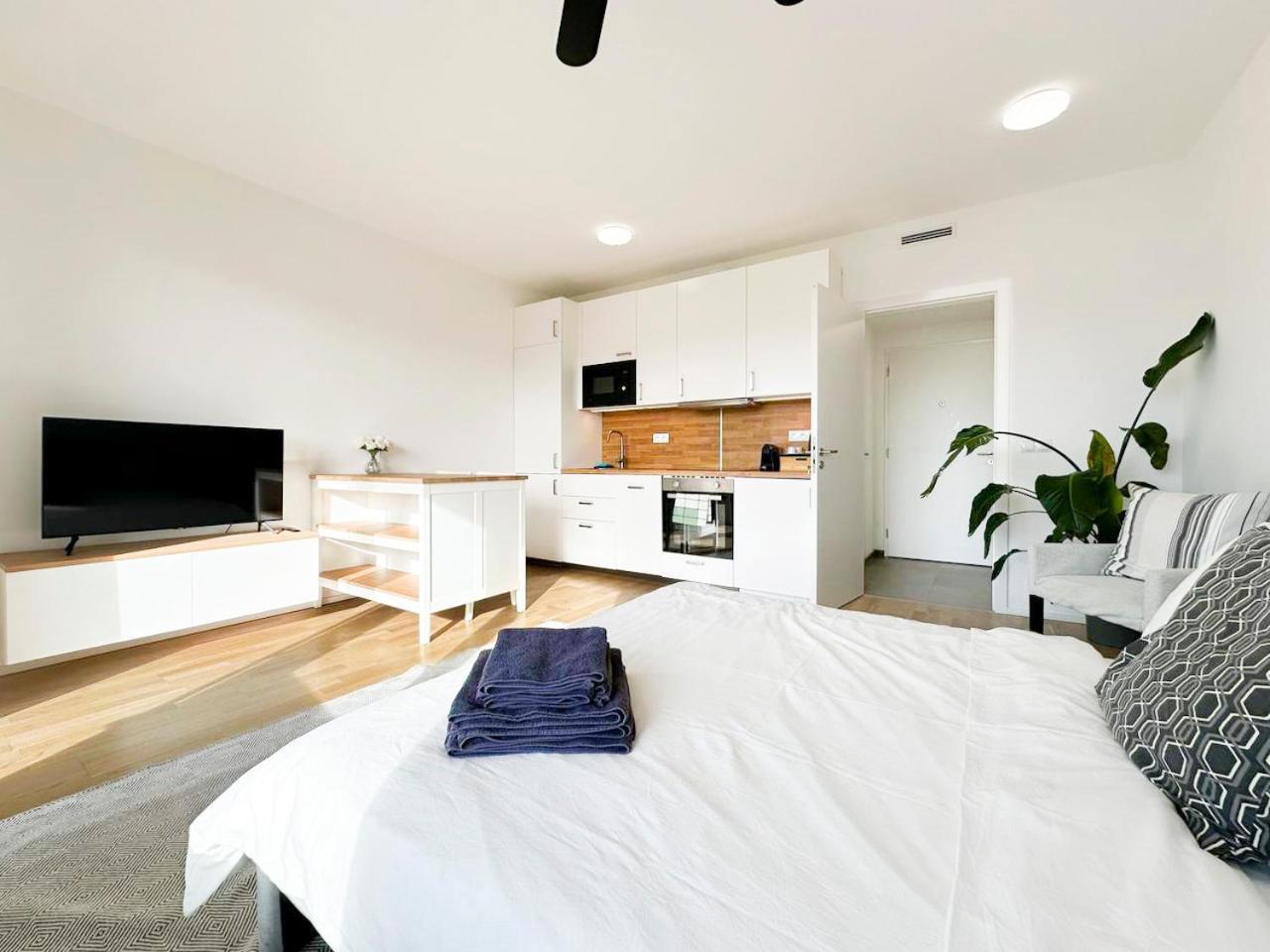 Apartment Vinice Prag