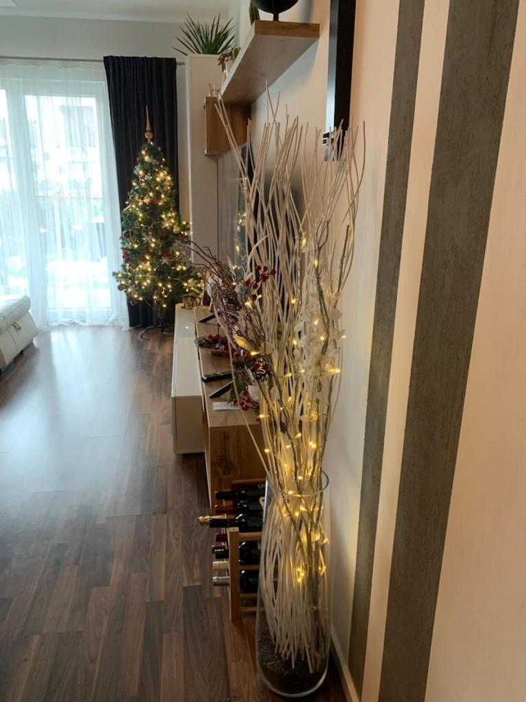 Krejcarek Garden Apartment Prag