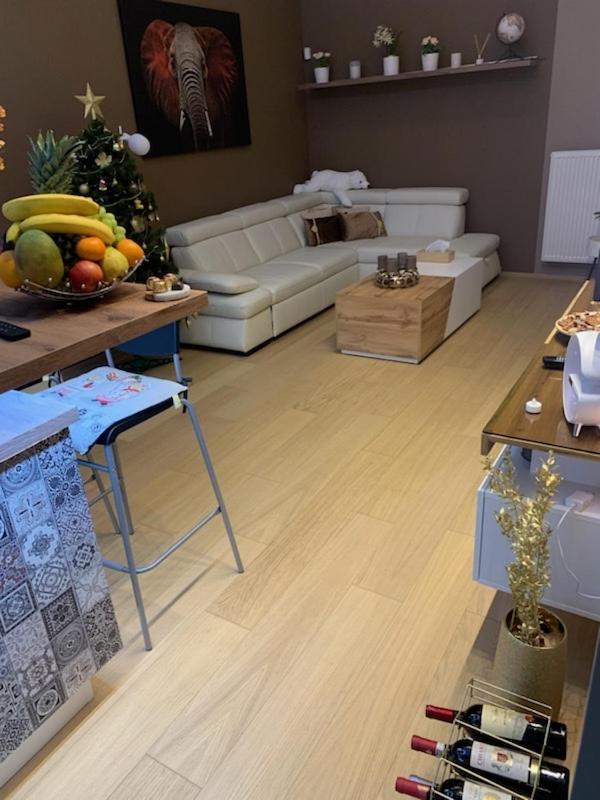 Dagmar Buresove Apartment Prag