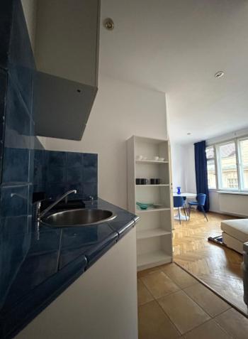 Old Town - Konviktska Apartment
