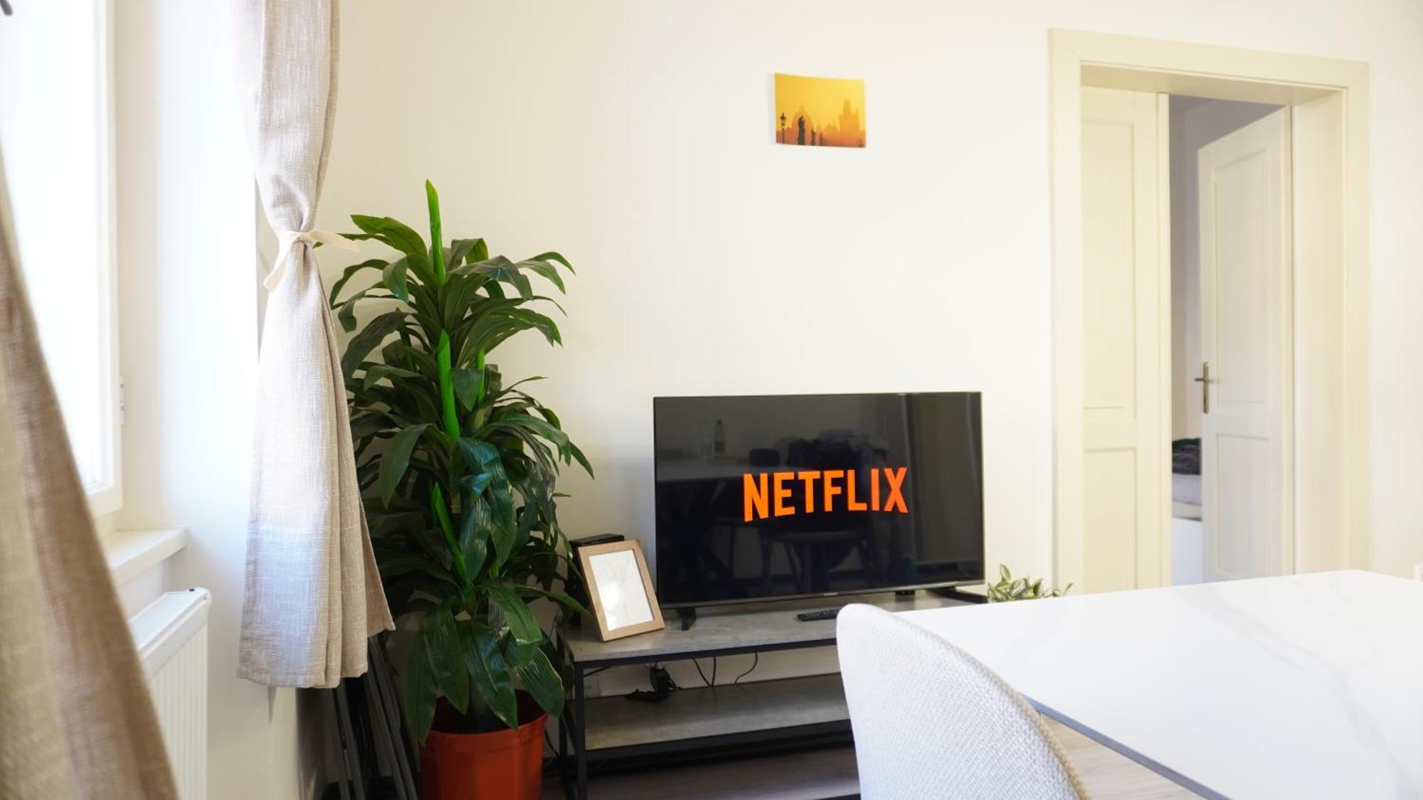 Flat With Balcony And Garage Apartment *