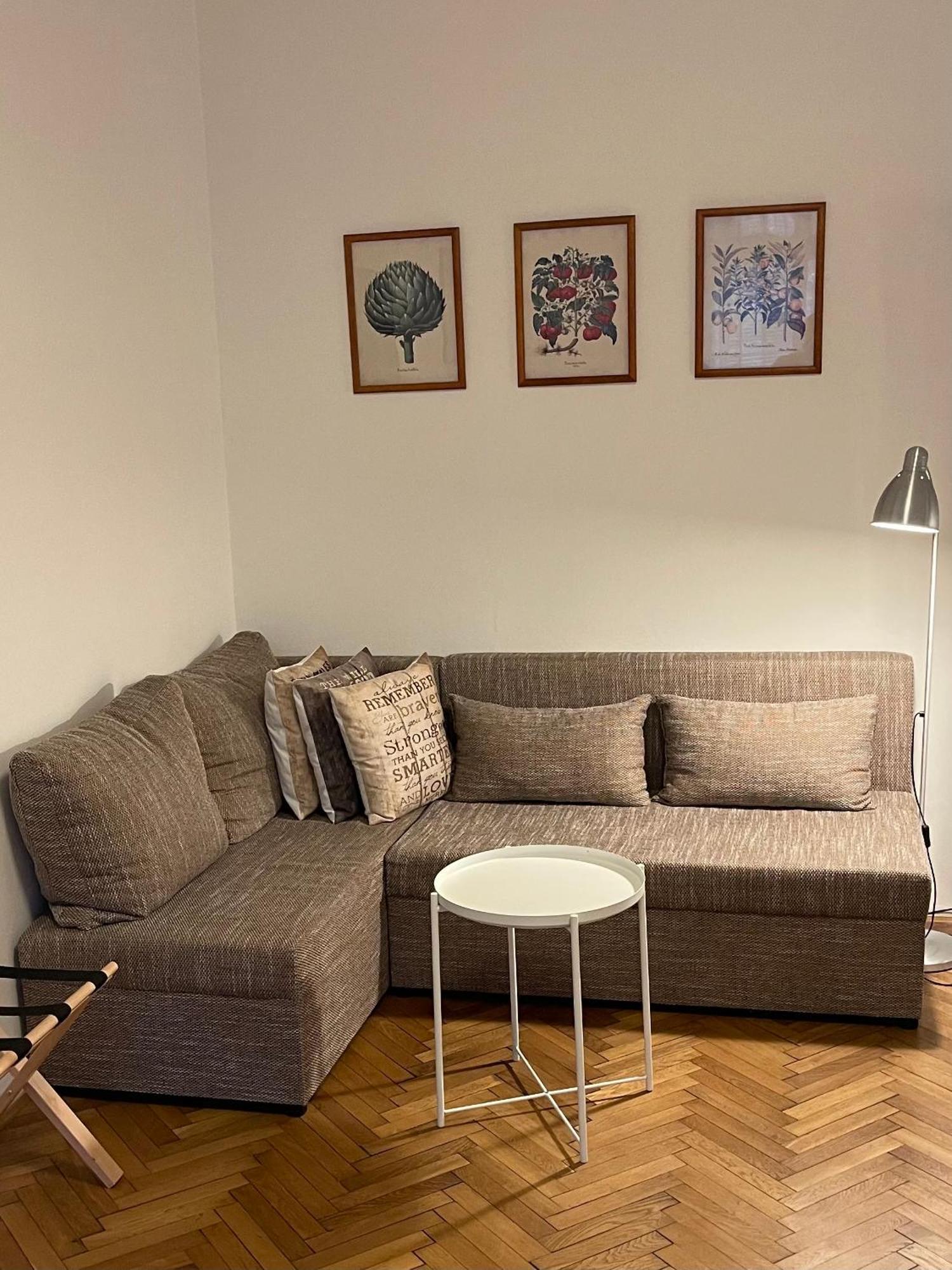 Apartment Slavikova 11 *