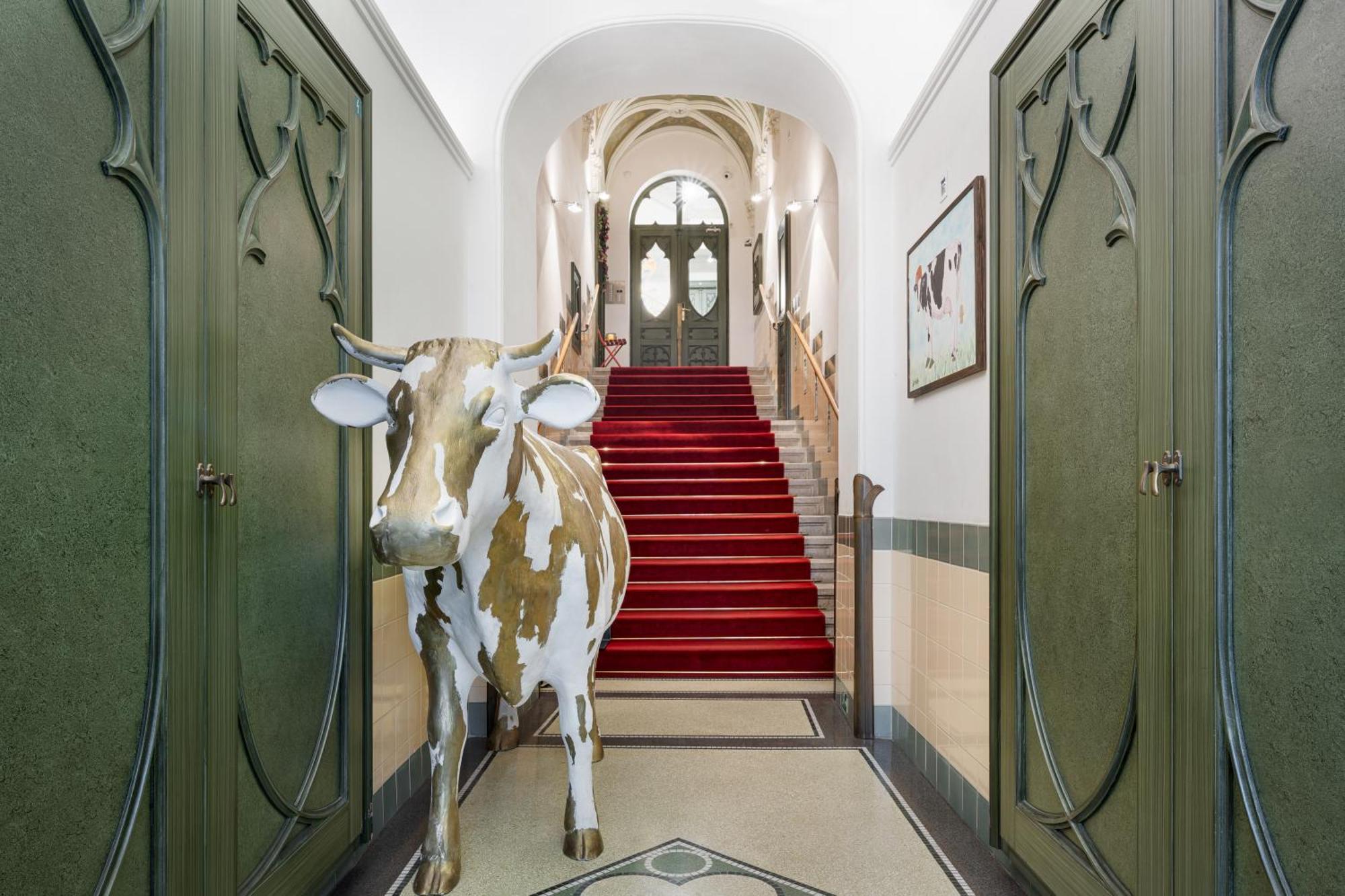 Mooo Downtown Aparthotel