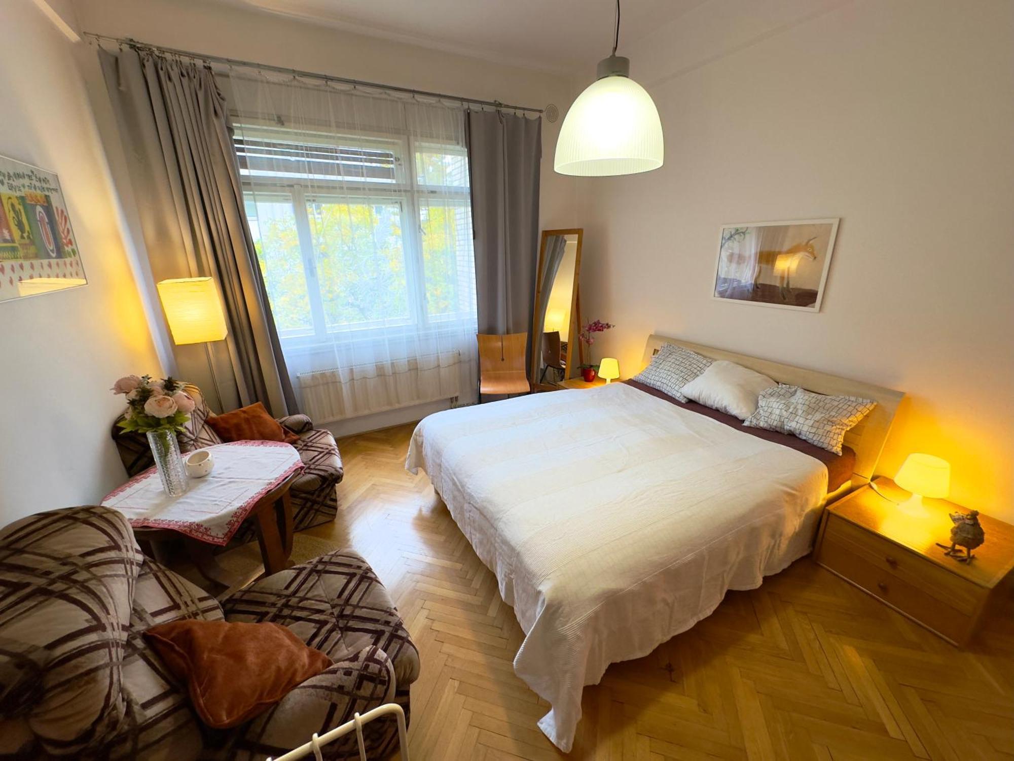 Sedlcanska - Will Save Money Here - Equipped With Antique Furniture Lejlighed *