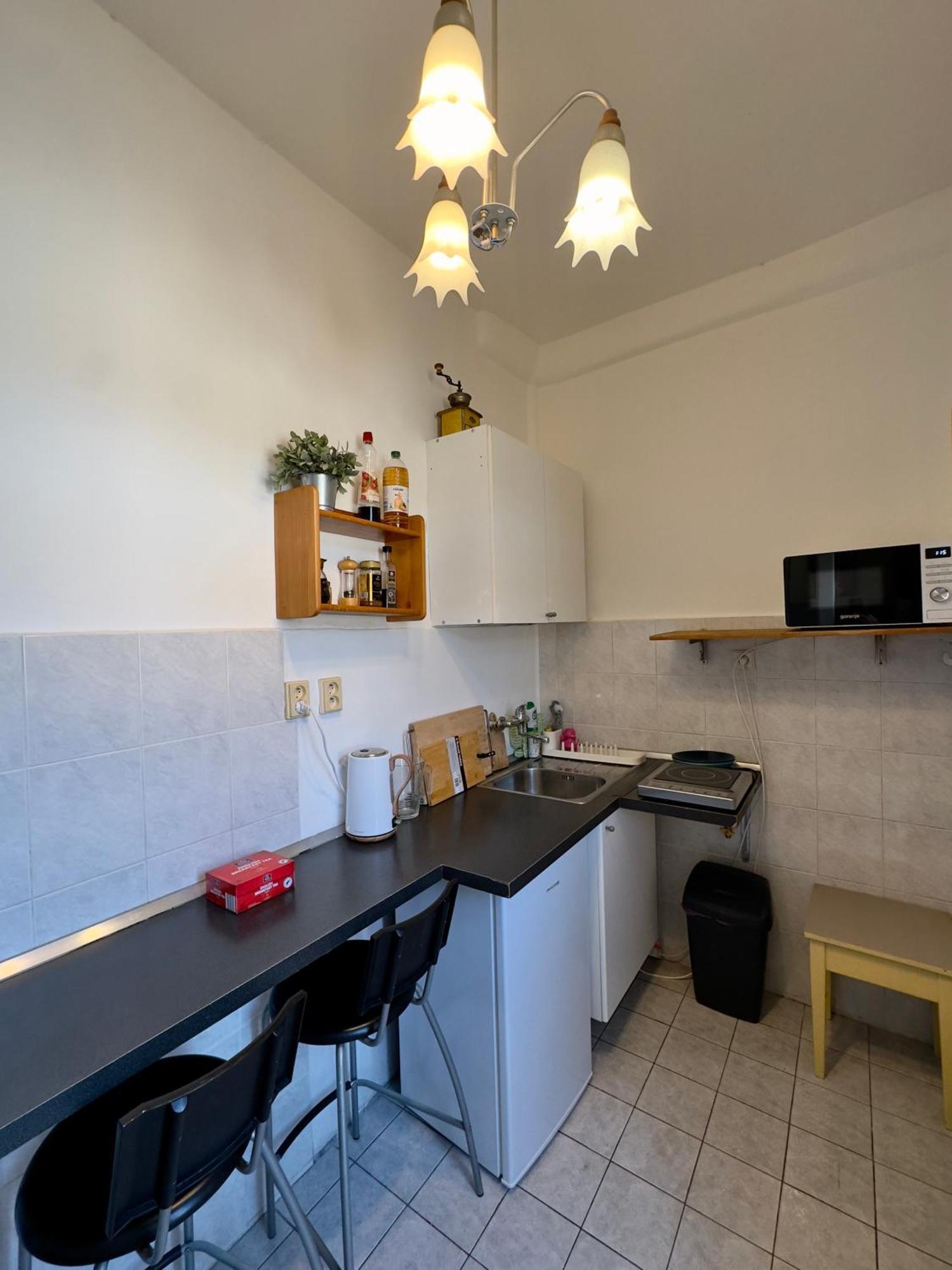 Lejlighed Sedlcanska - Will Save Money Here - Equipped With Antique Furniture Prag