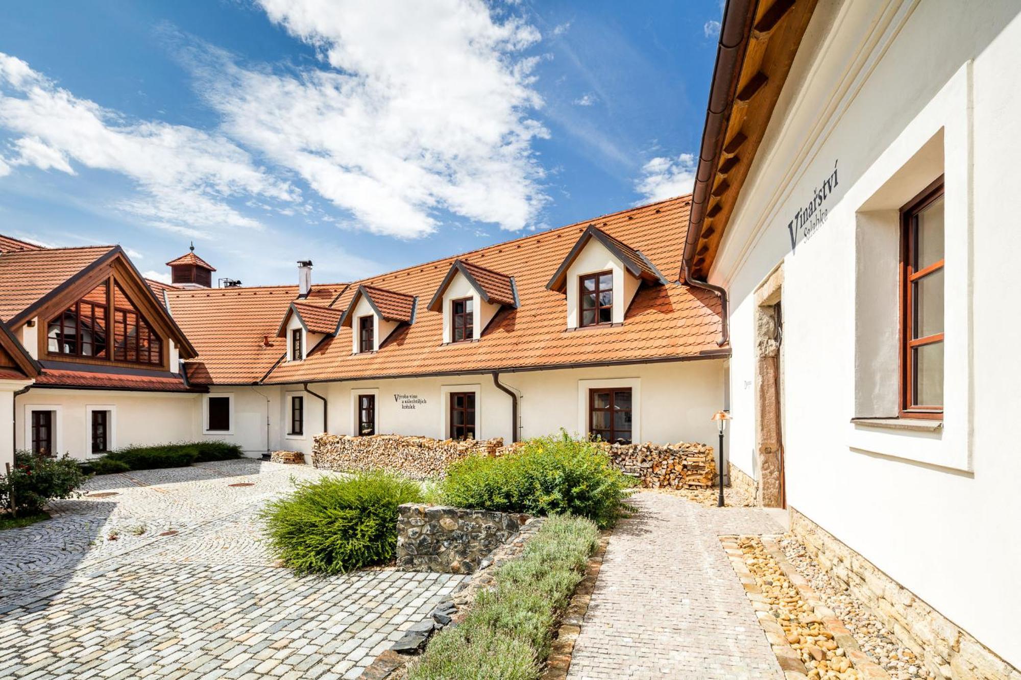 Apartmán Vinice Salabka *